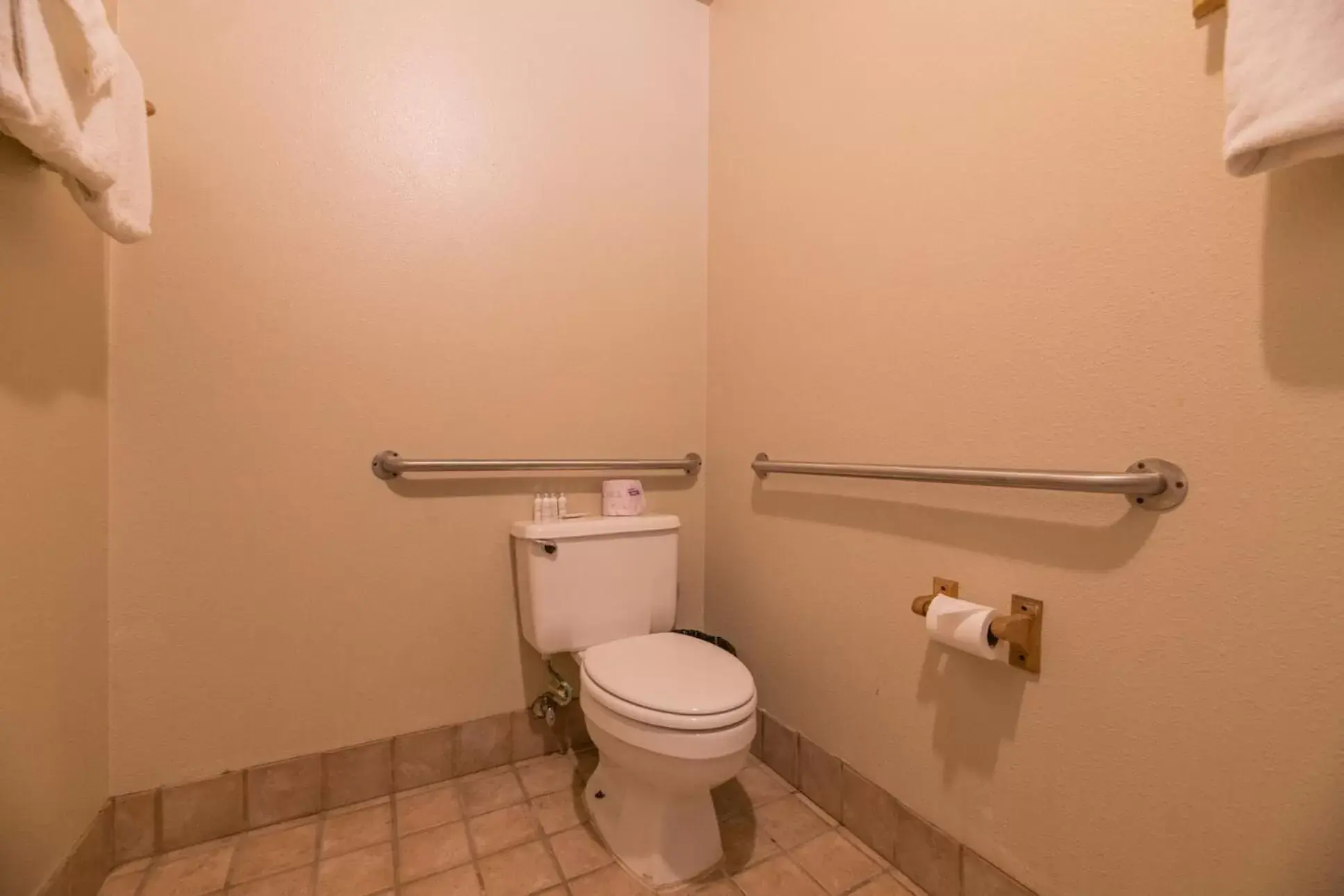 Bathroom in Black Forest Lodge