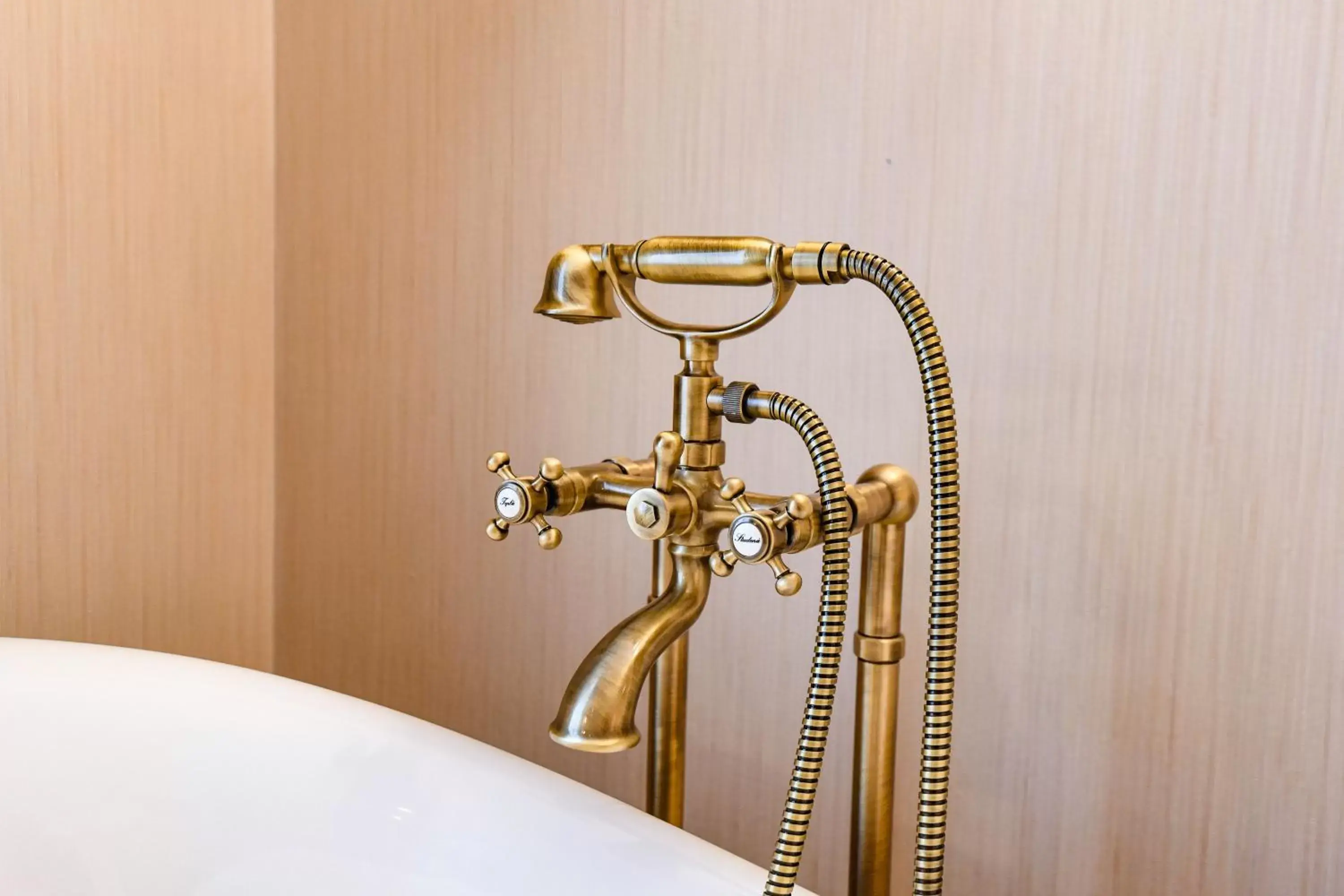 Decorative detail, Bathroom in Hotel Master