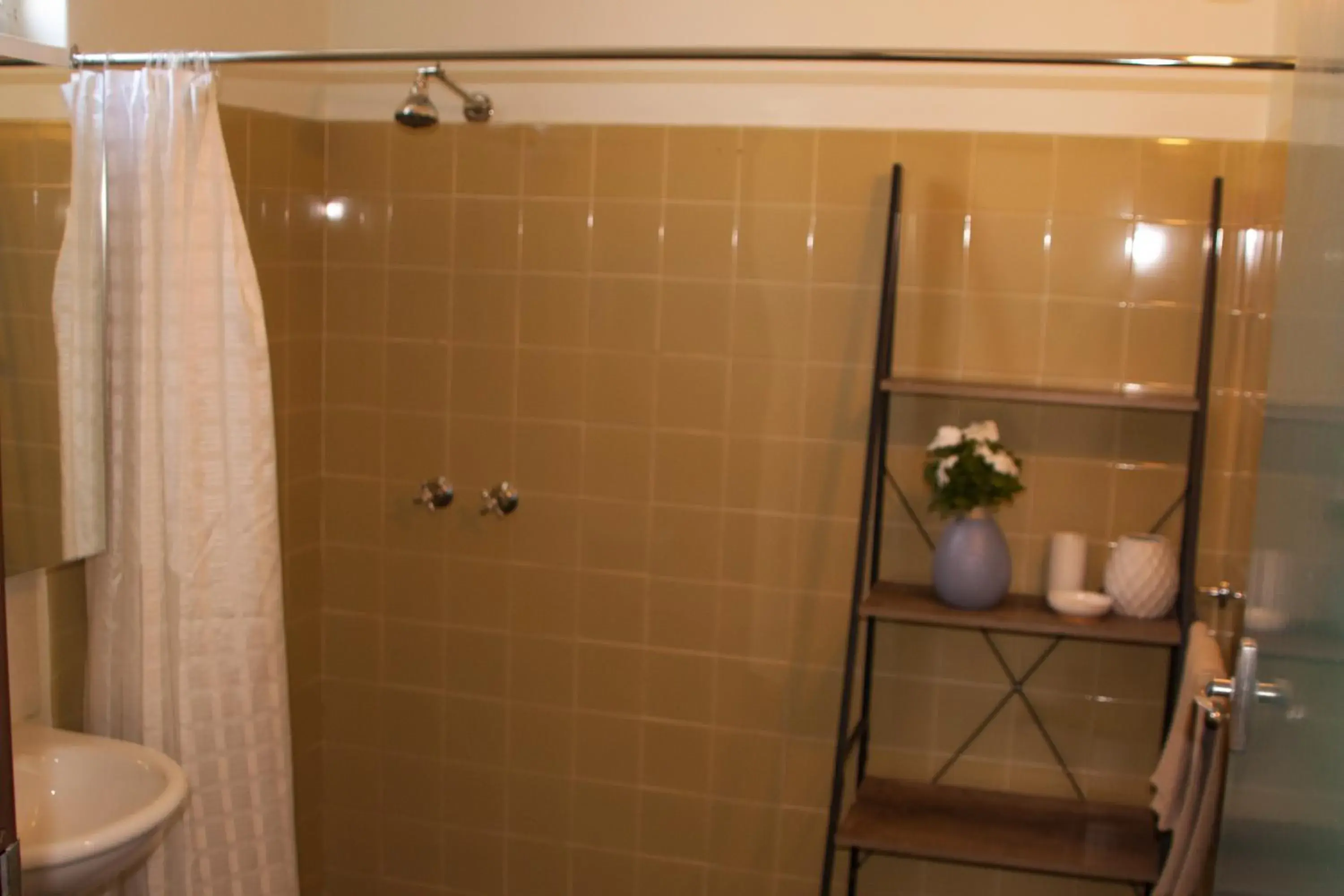 Shower, Bathroom in Angaston Vineyards Motel