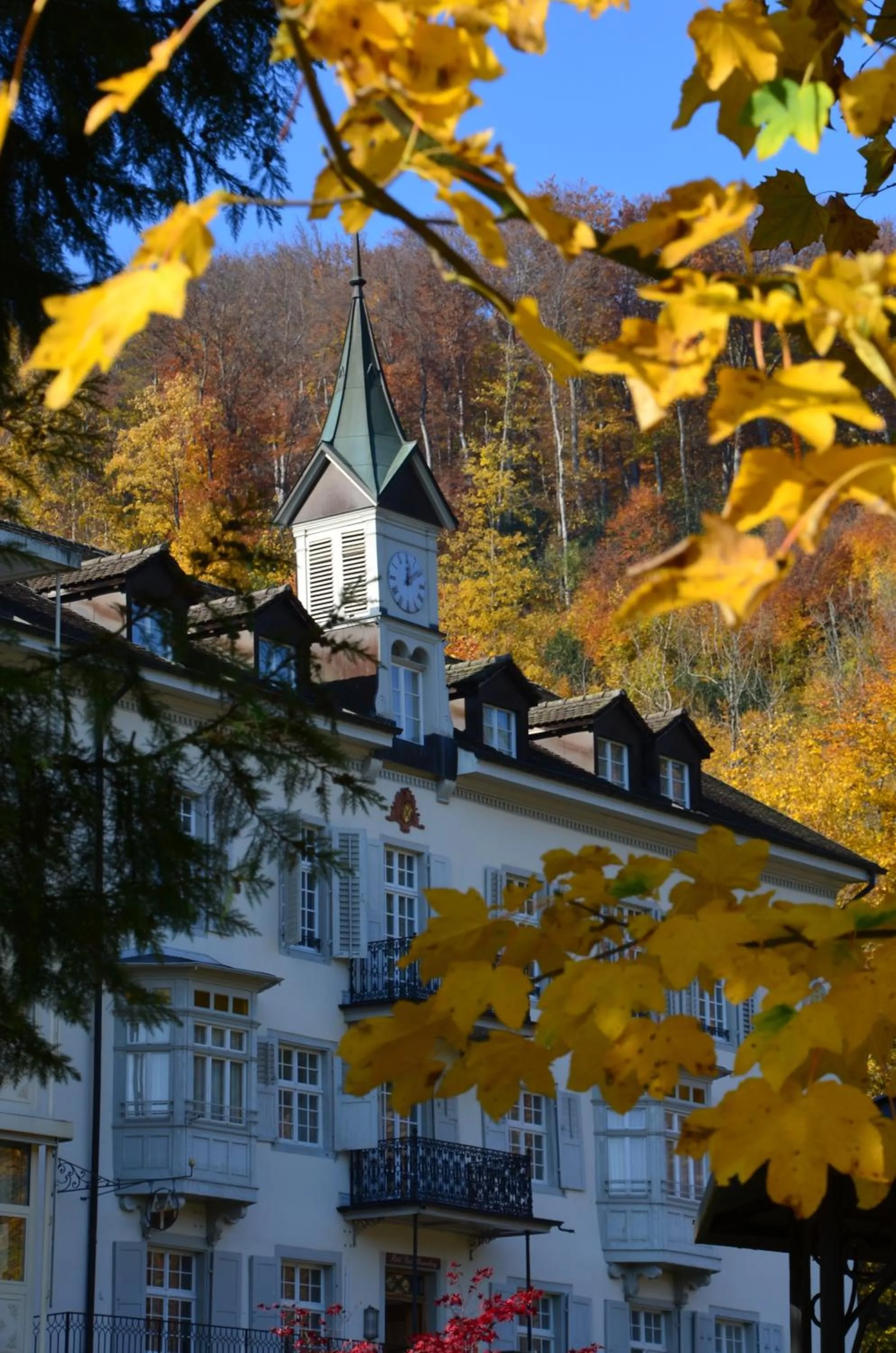 Property building in Bad Schauenburg