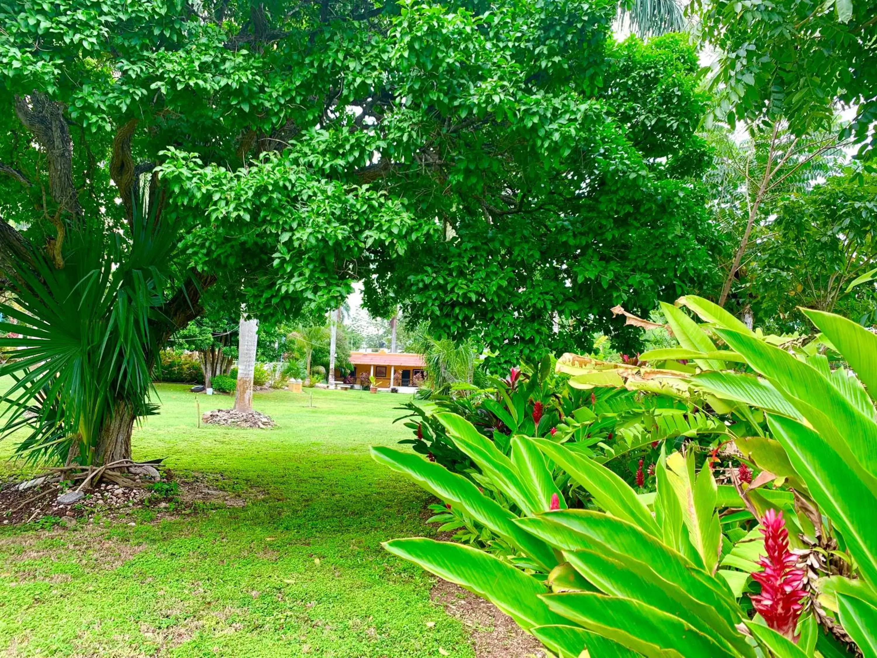 Garden in Hotel Green River