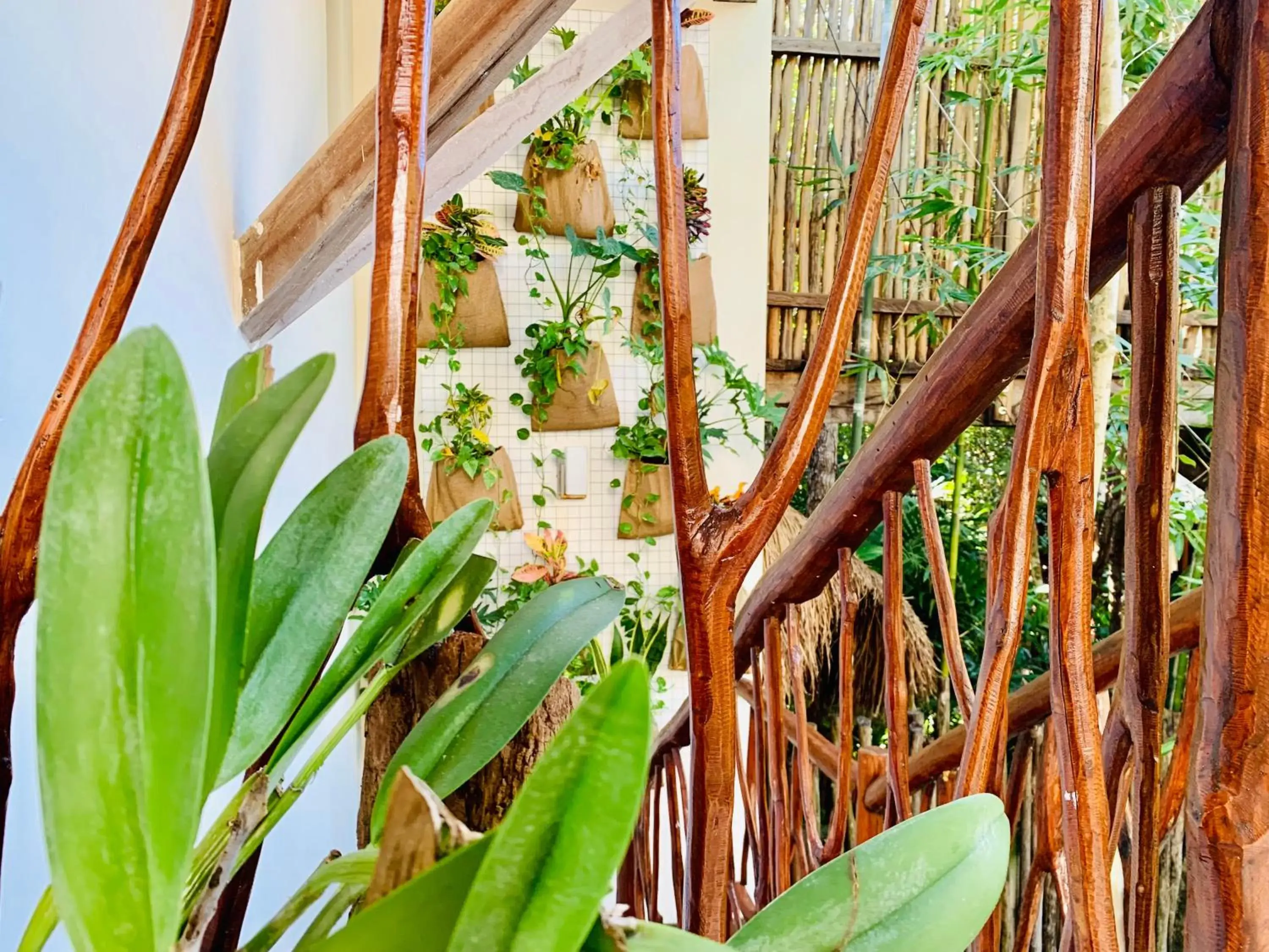 Orchid House Tulum