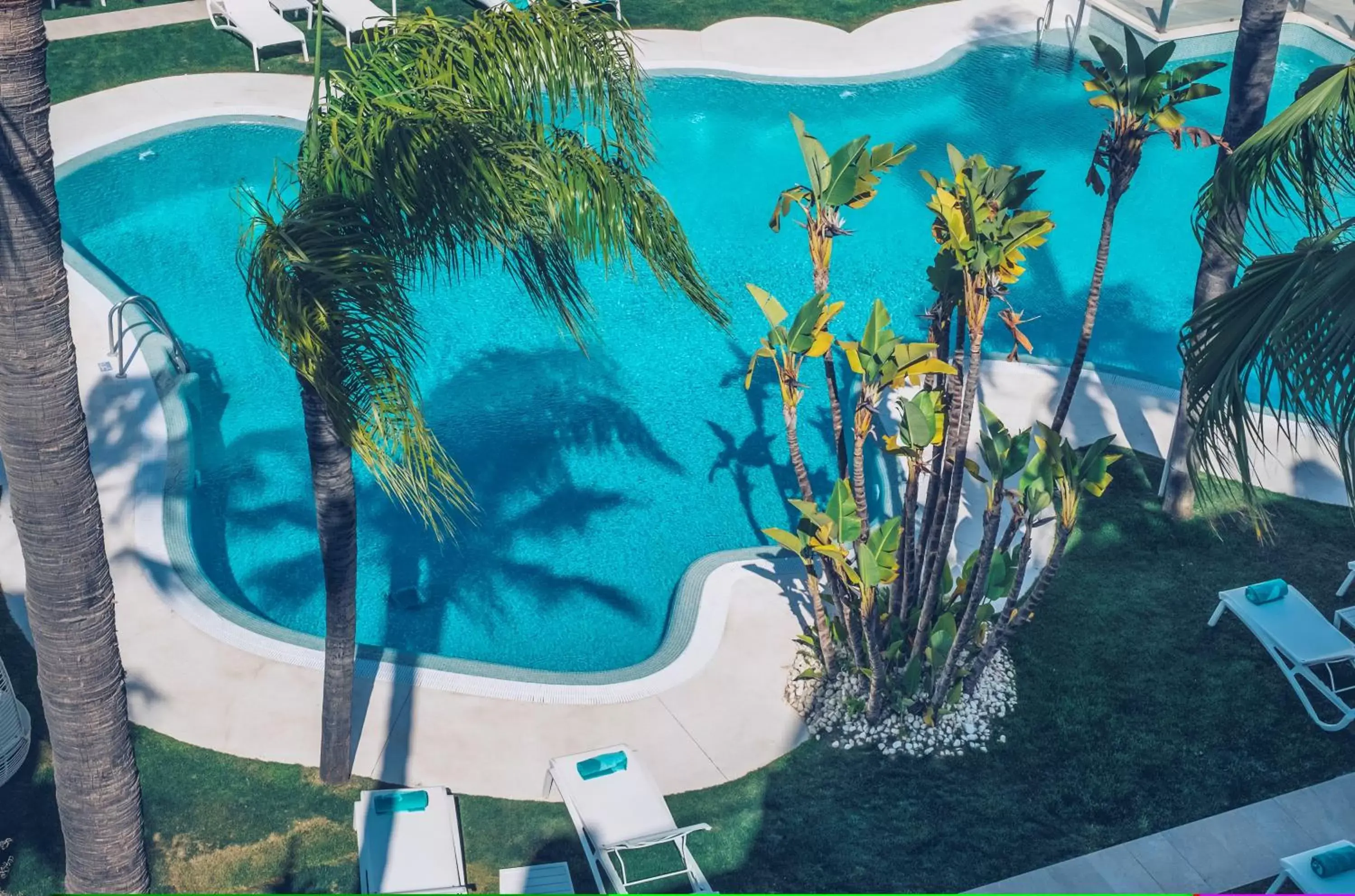 Swimming pool, Pool View in Iberostar Selection Marbella Coral Beach