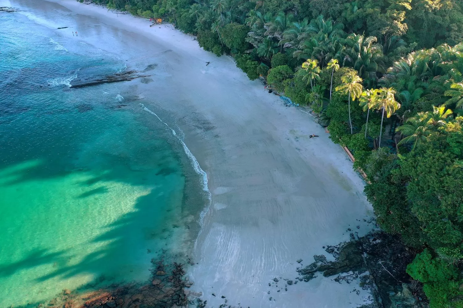 Natural landscape in Hotel Punta Leona