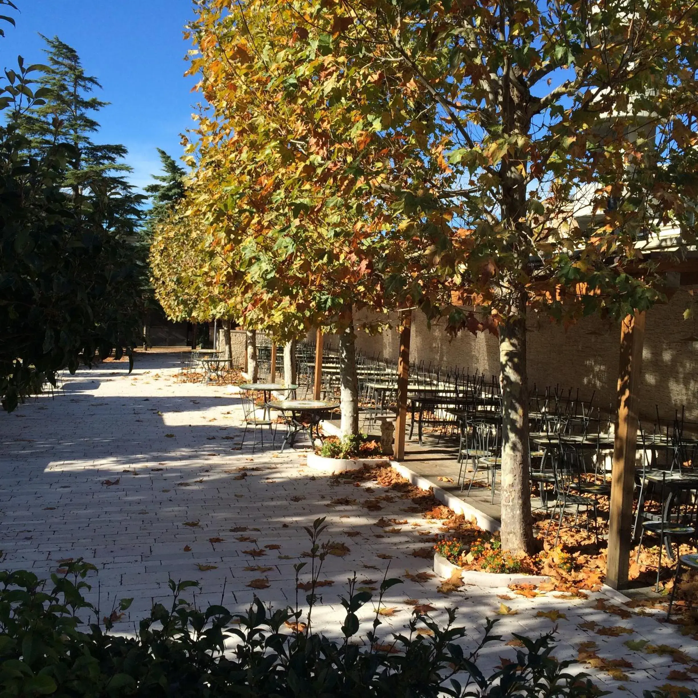 Garden in Hotel Parco Delle Rose