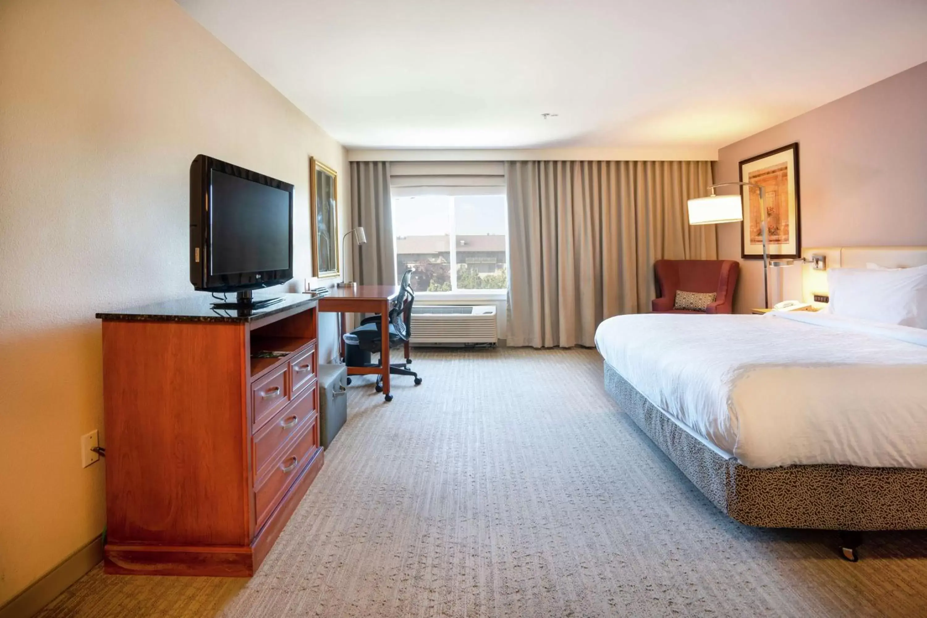 Bed, TV/Entertainment Center in Hilton Garden Inn Seattle/Renton