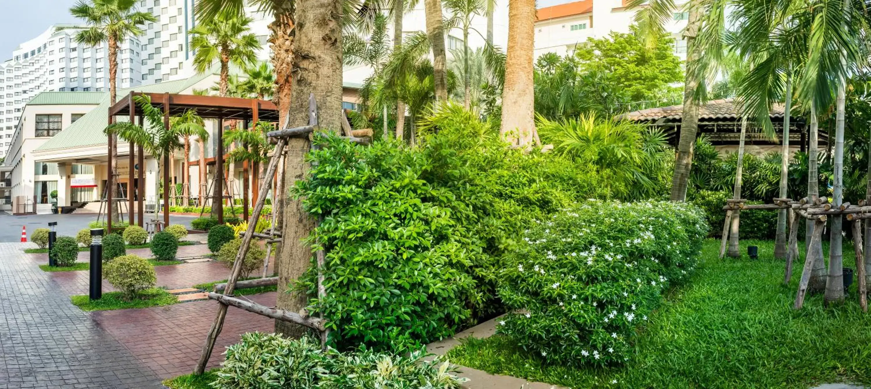 Garden, Patio/Outdoor Area in Jomtien Palm Beach Hotel and Resort - SHA Extra Plus