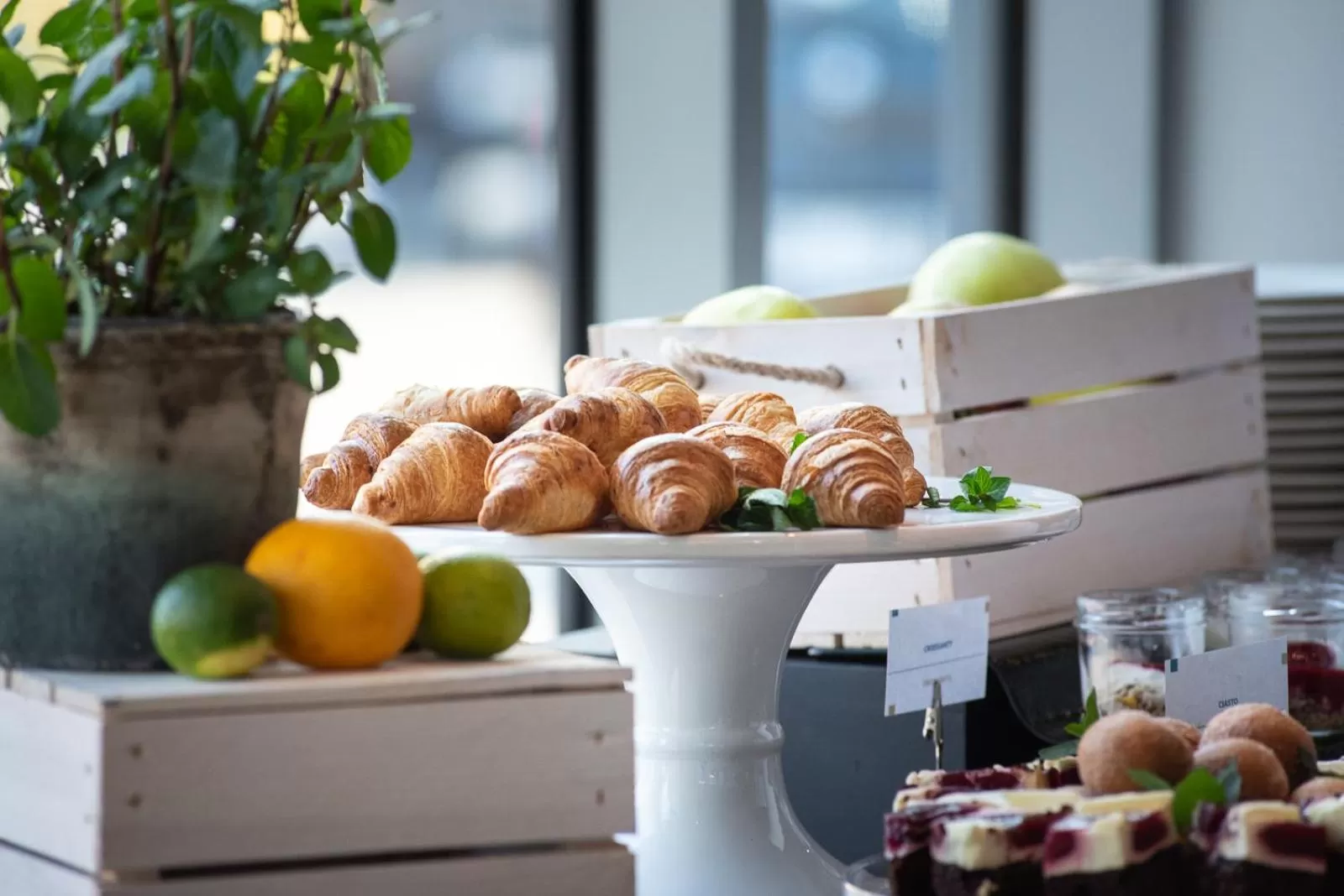 Food and drinks in Hotel Arkon Park Gdańsk- Destigo Hotels