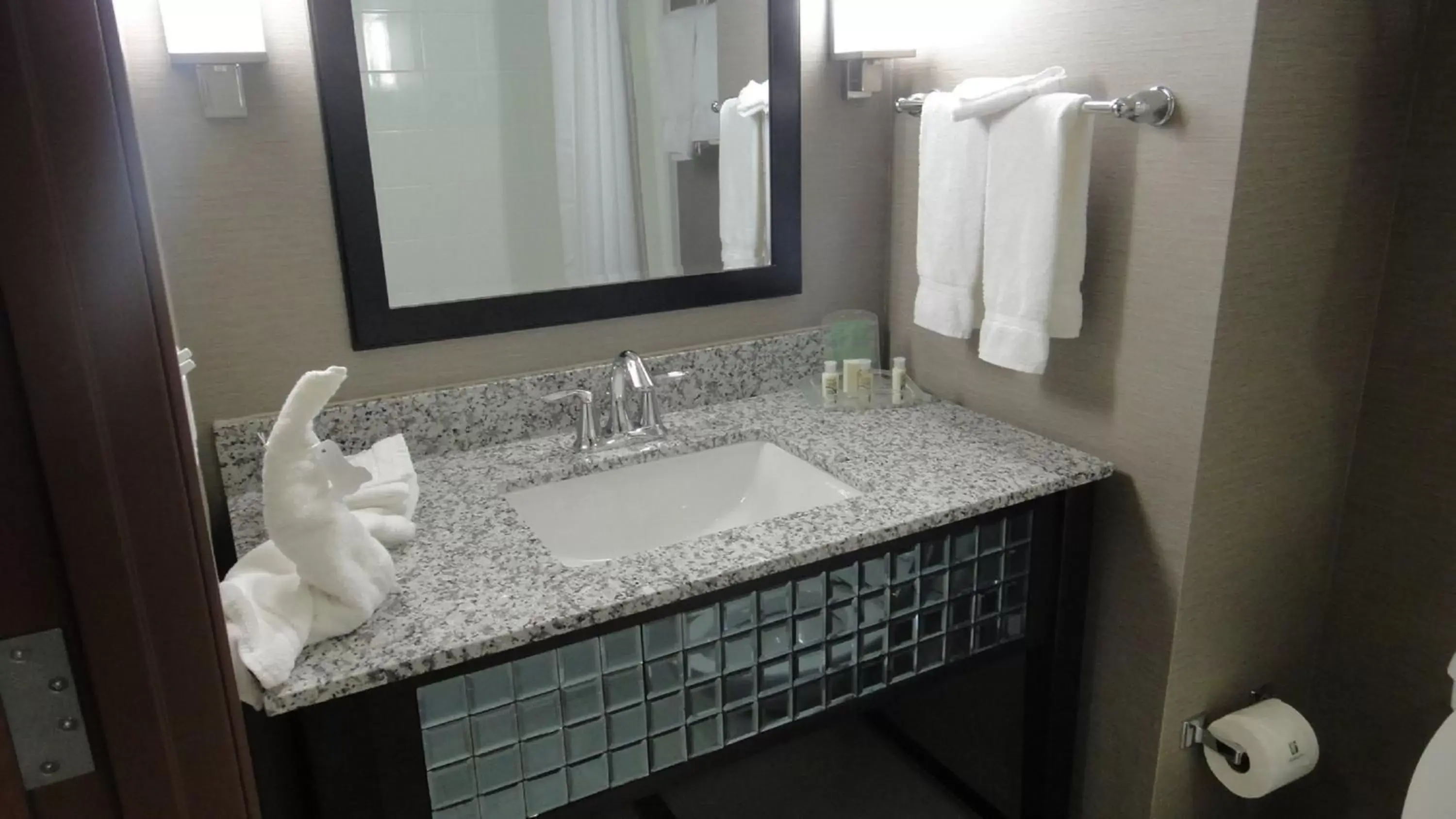 Bathroom in Holiday Inn Hotel & Suites Northwest San Antonio, an IHG Hotel