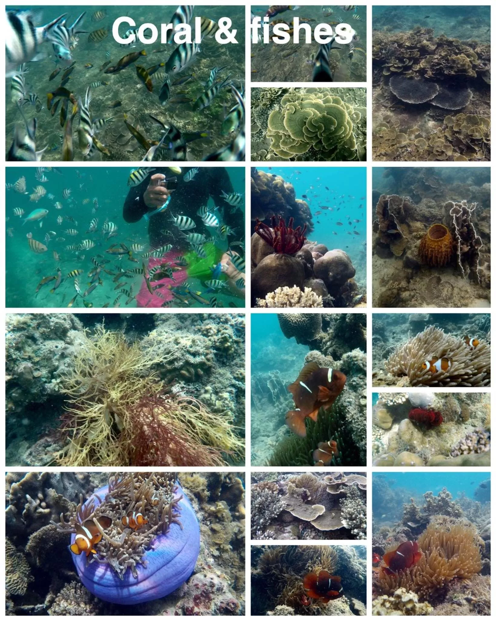 Dragon Pearl Beach Resort