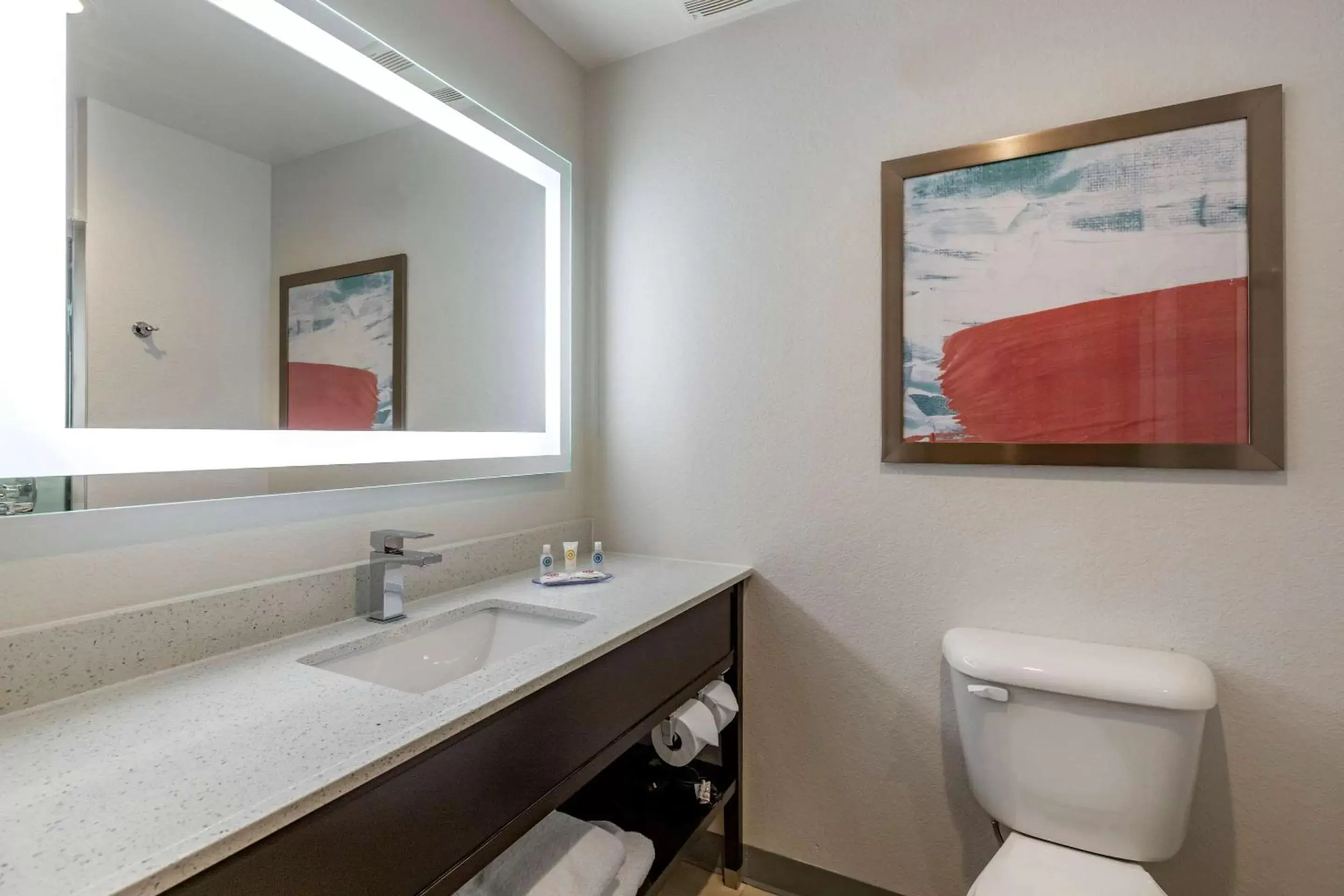 Bathroom in Comfort Inn & Suites Bennett