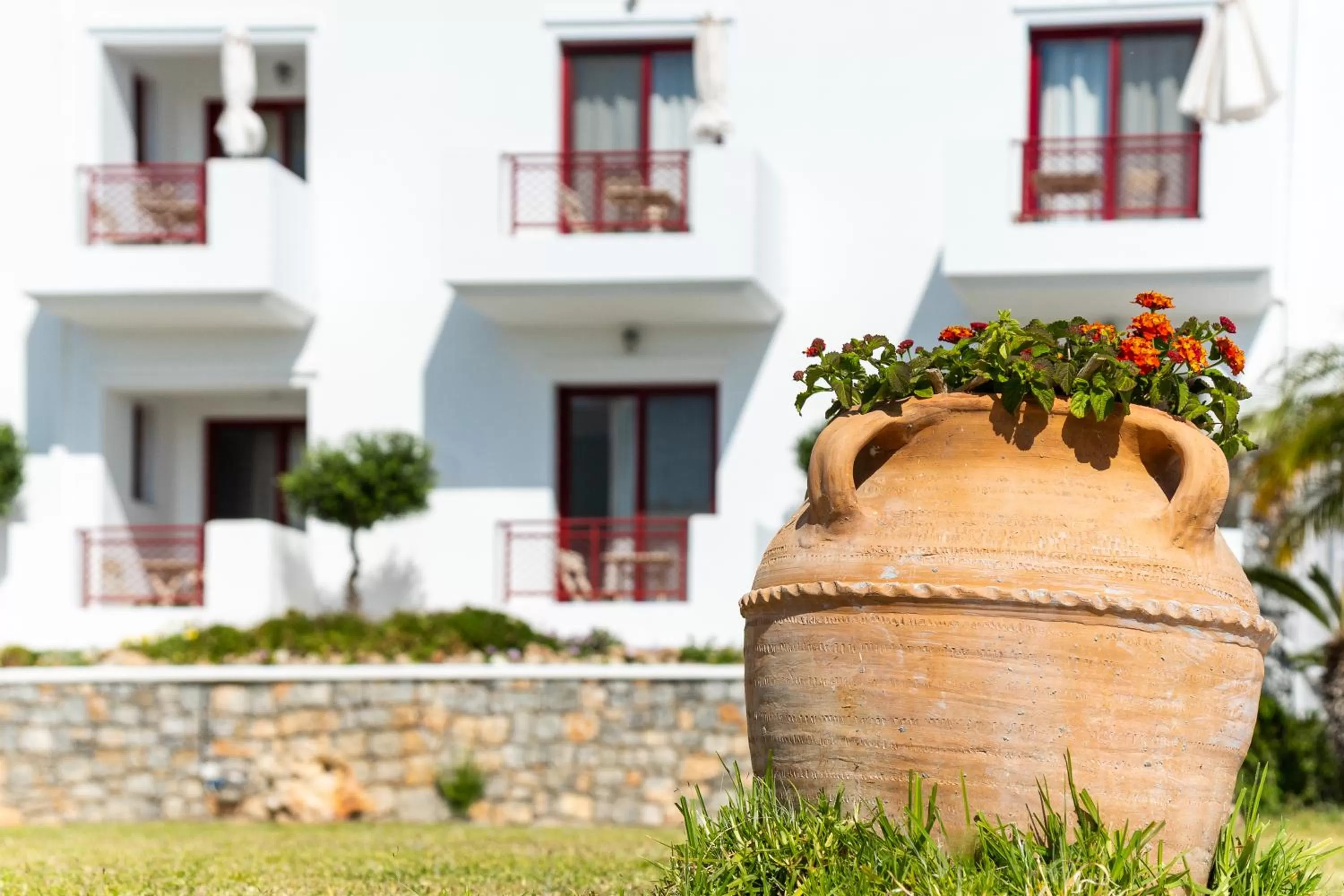 Property building in Bella Vista Stegna