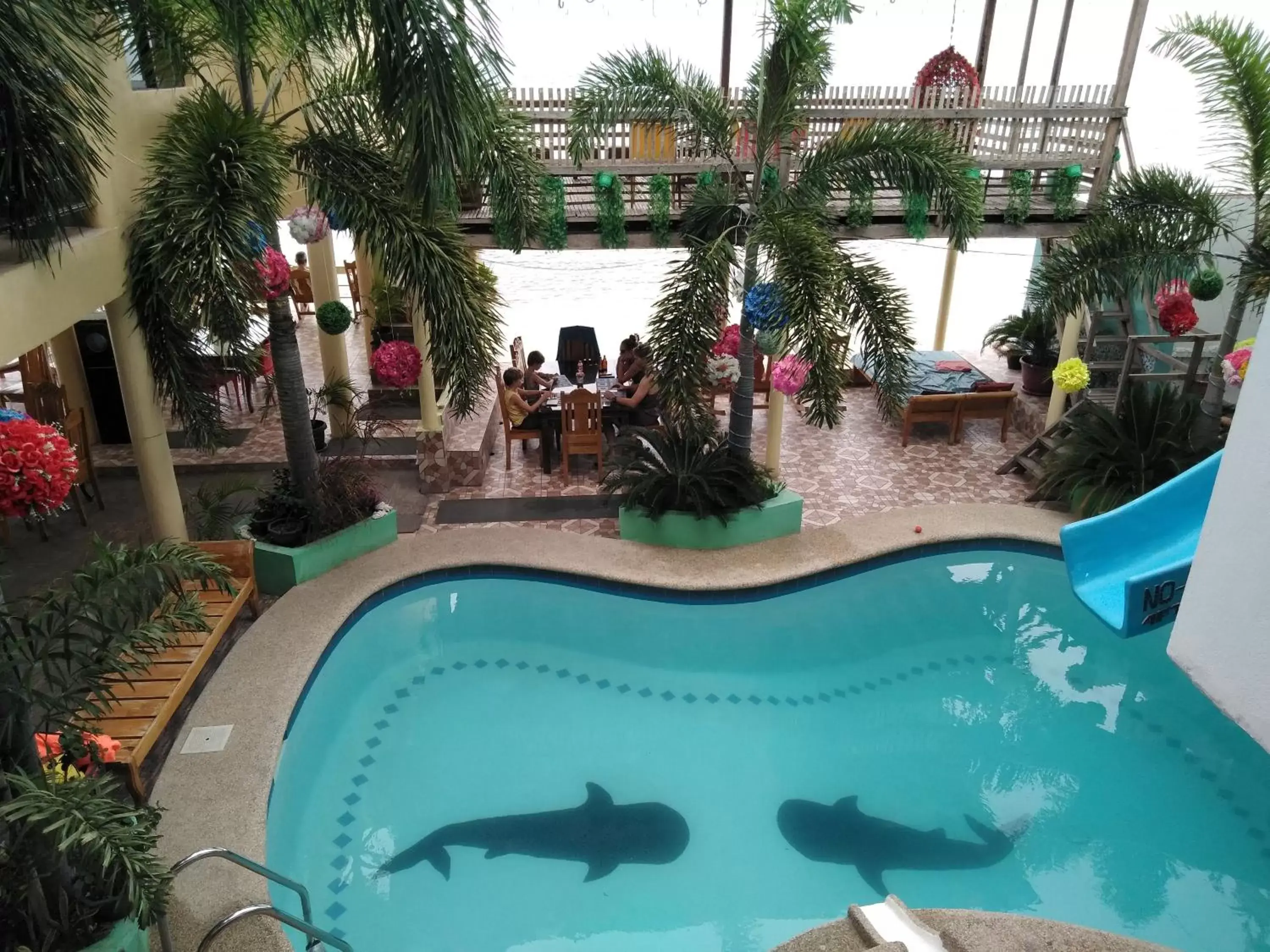 Swimming pool, Pool View in Sascha's Resort Oslob