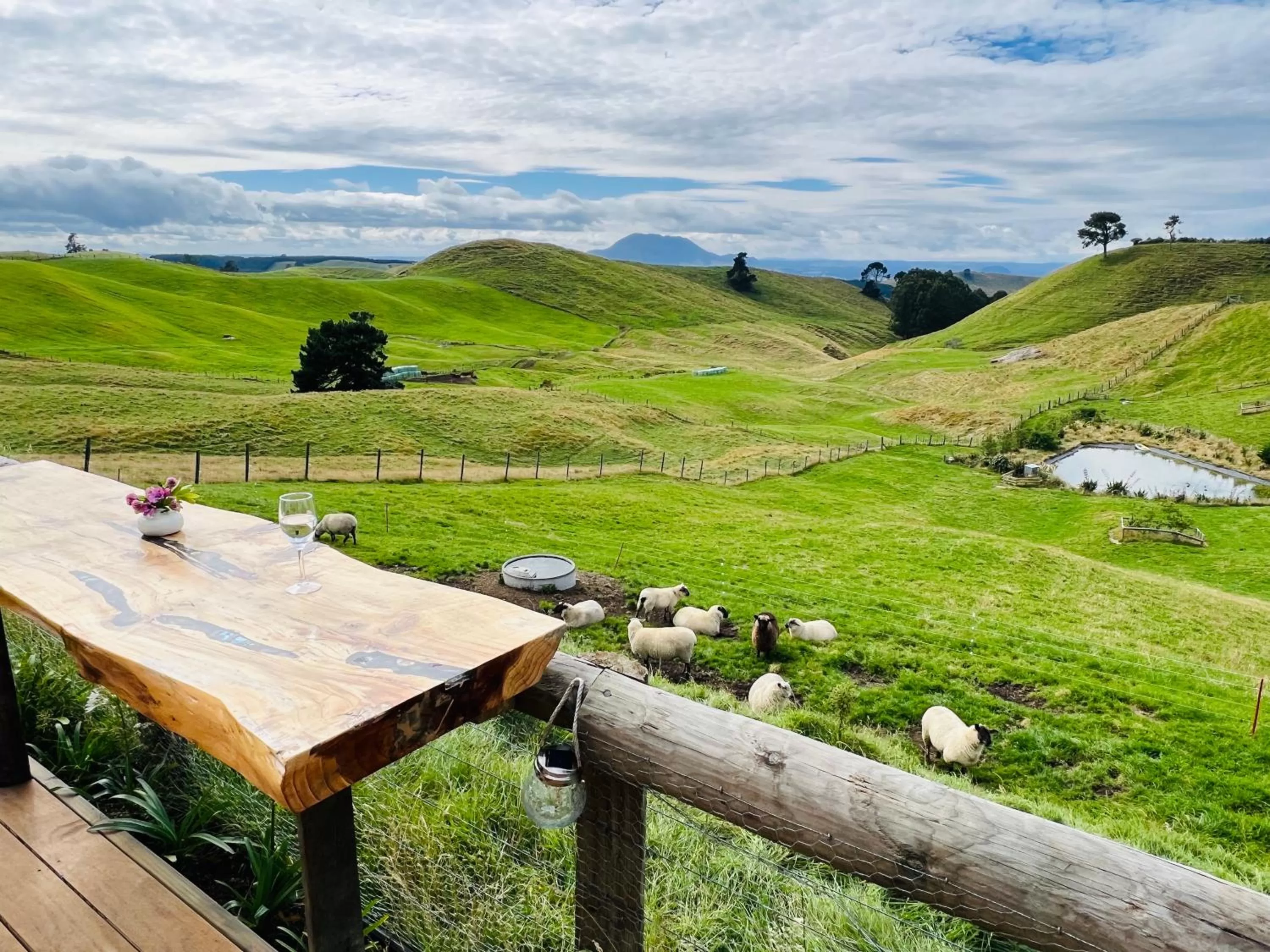 Natural landscape in Hilltop Whakaipo Estate