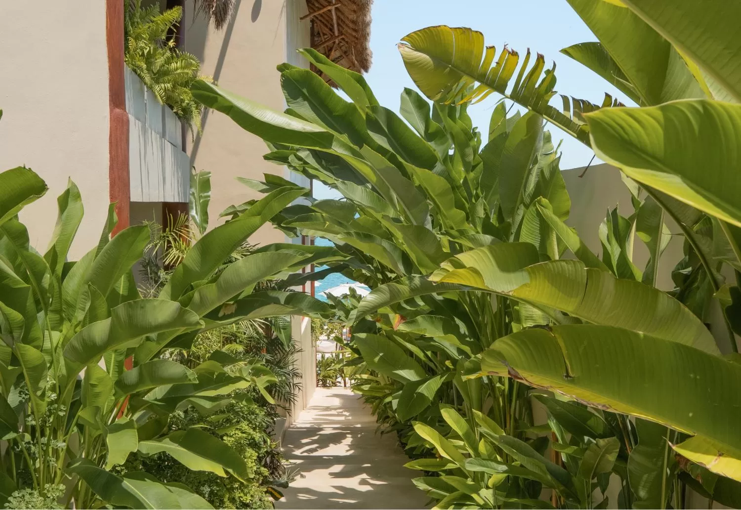 Day in Puerta del Cielo Hotel Origen