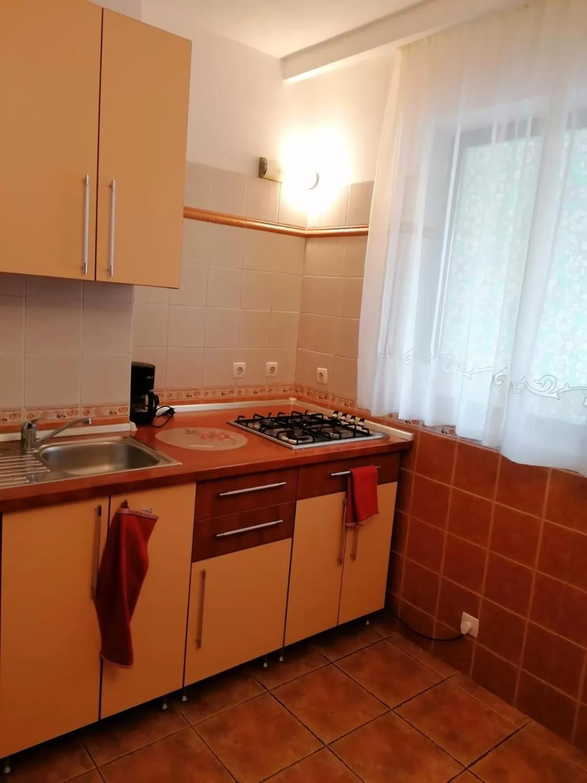 Kitchen or kitchenette in Villa Edera Residence - Gazda Profesionista