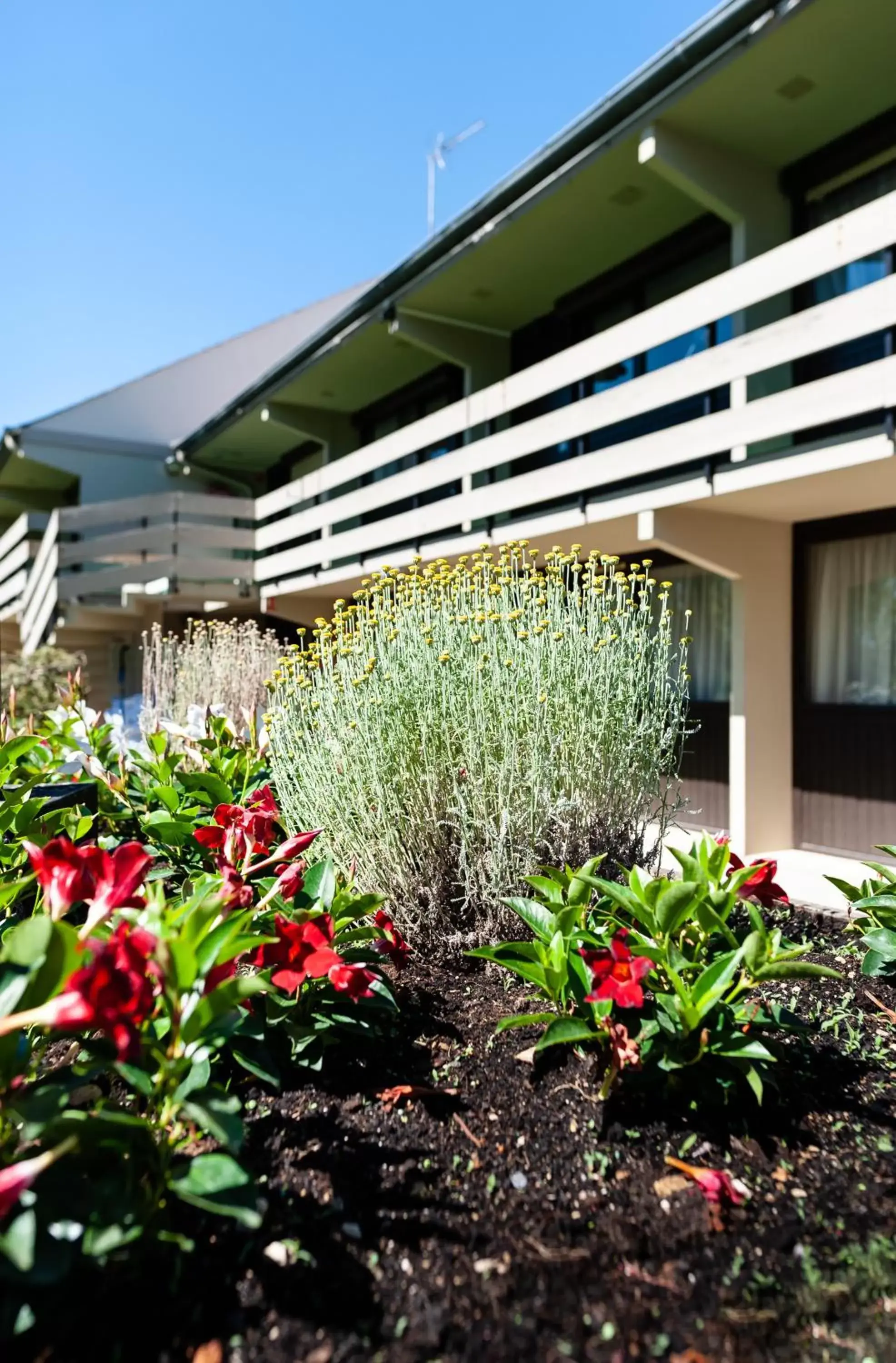 Garden, Property Building in Campanile Beaune