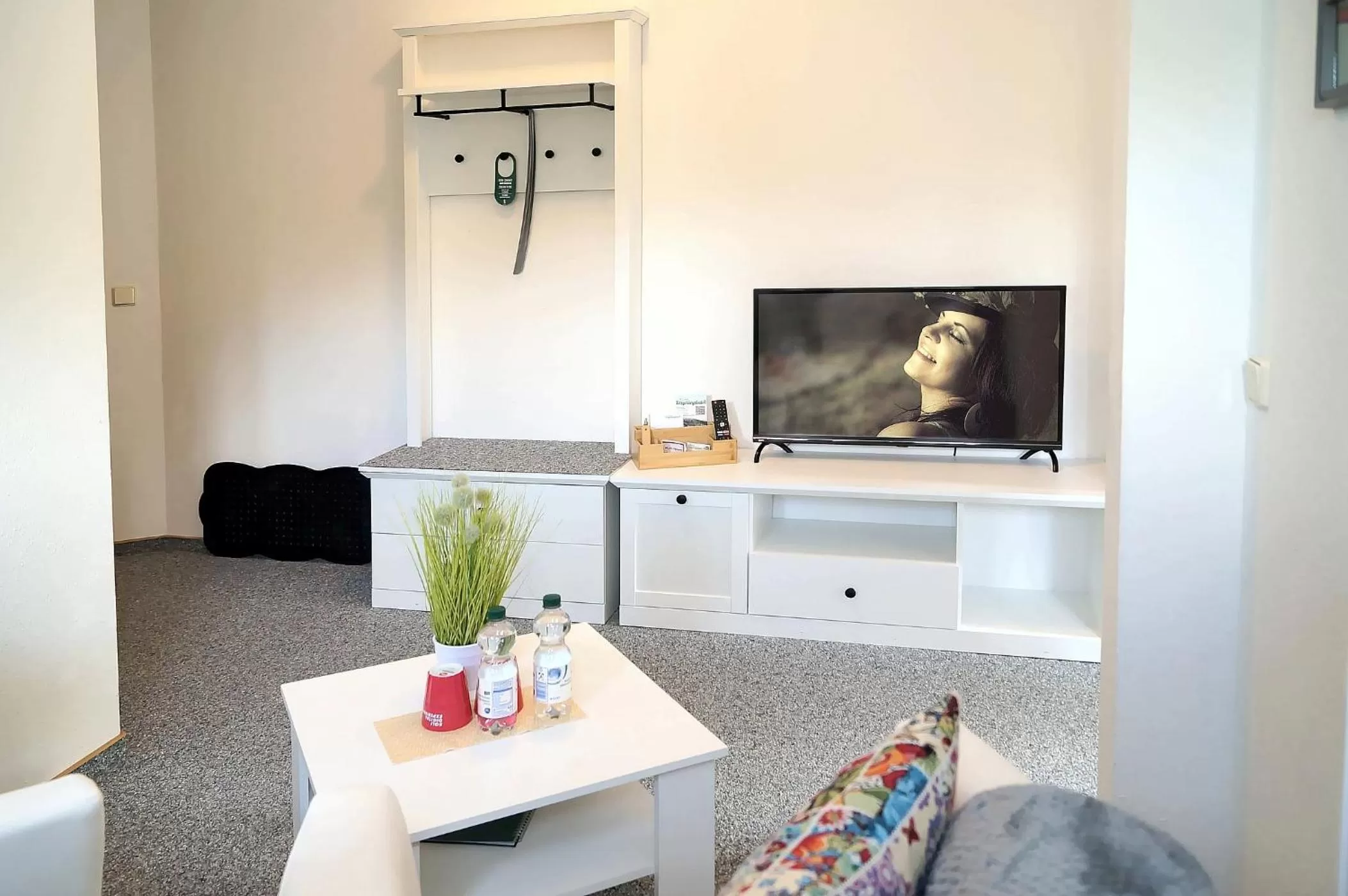 TV and multimedia in Erzgebirgshotel Misnia Bärenfels