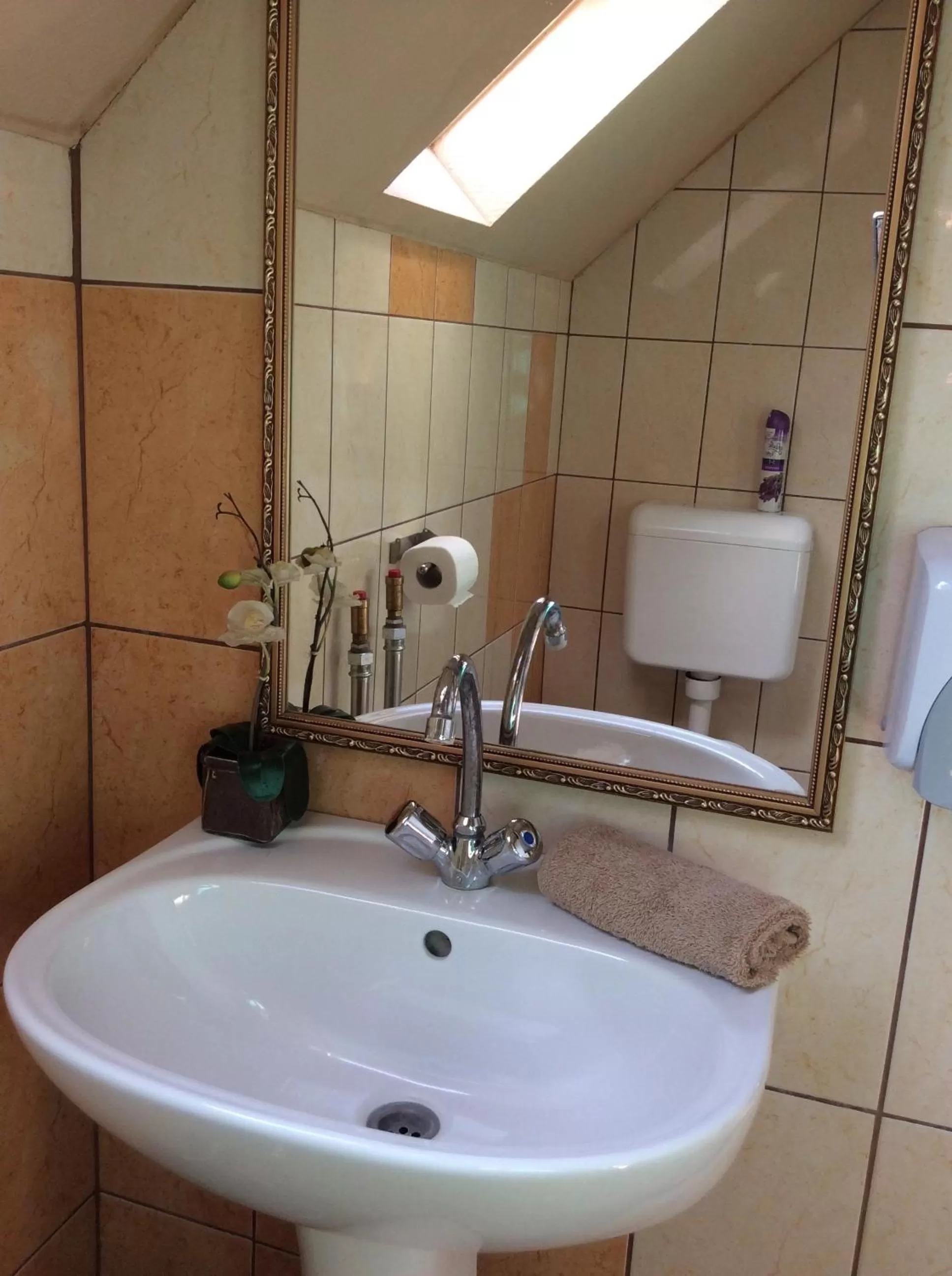 Bathroom in Abszolút Hotel és Panzió