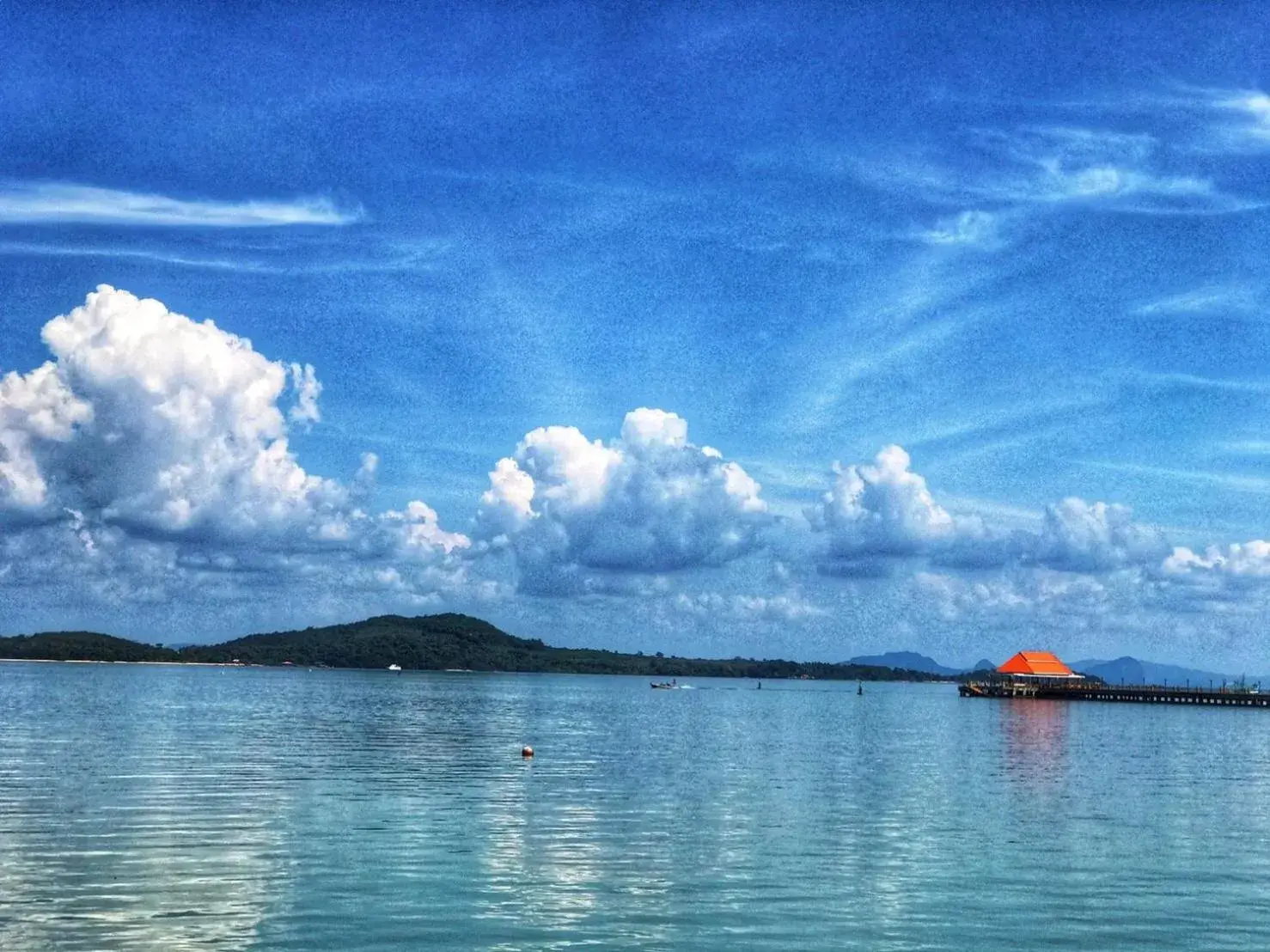 Natural landscape in The mangrove old town