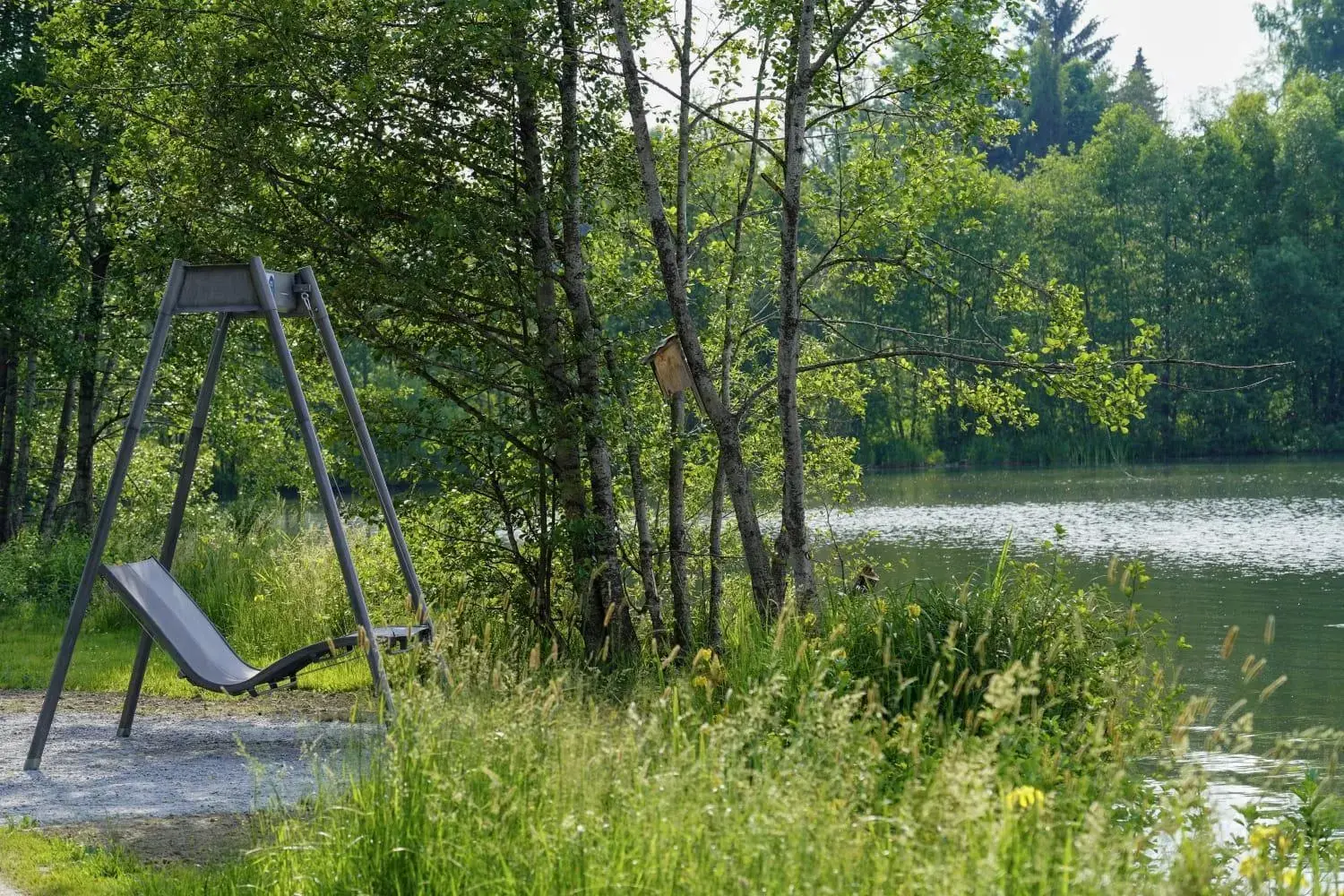 Fishing in ACHAT Hotel Waldkirchen