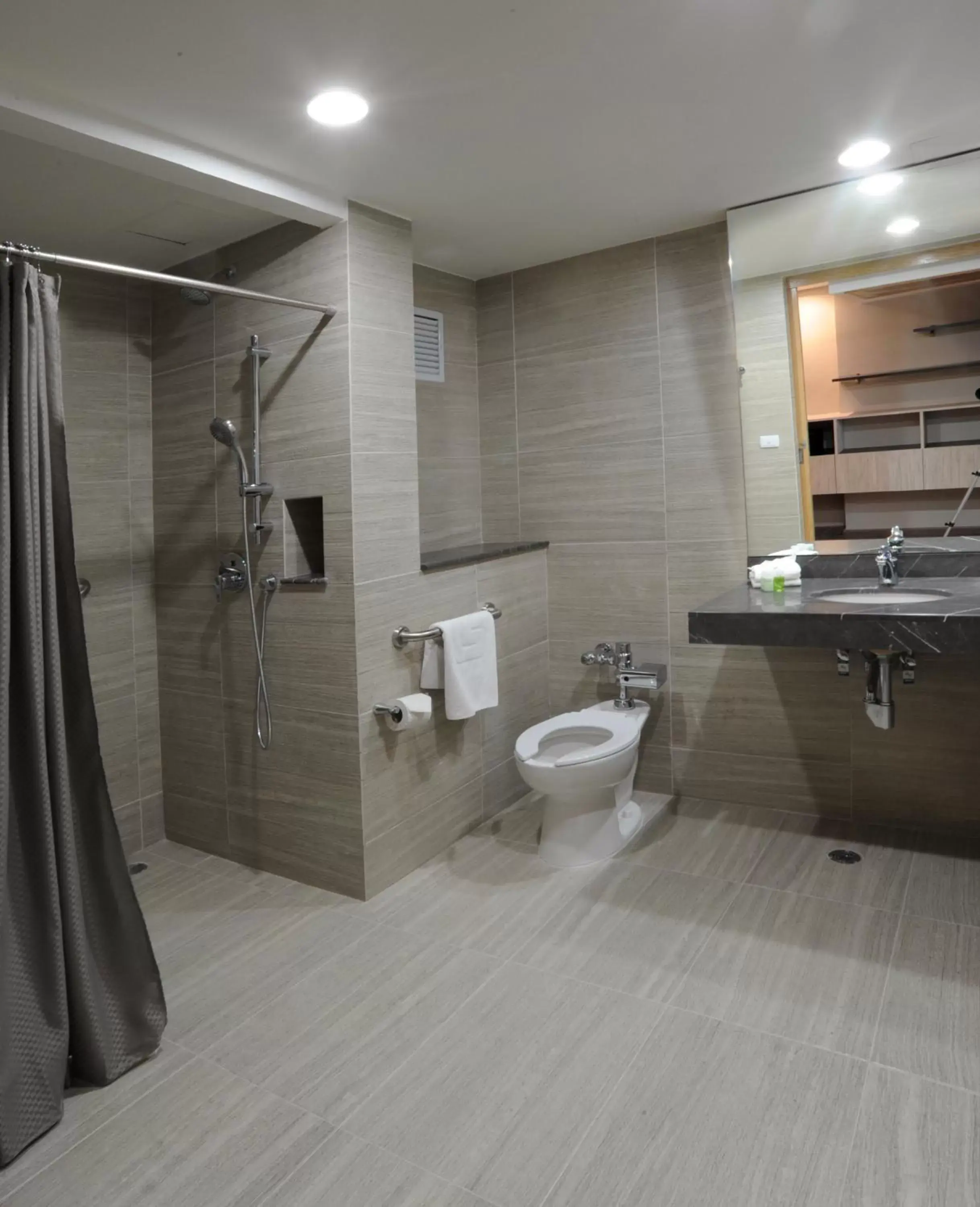 Facility for disabled guests, Bathroom in Hotel Benidorm