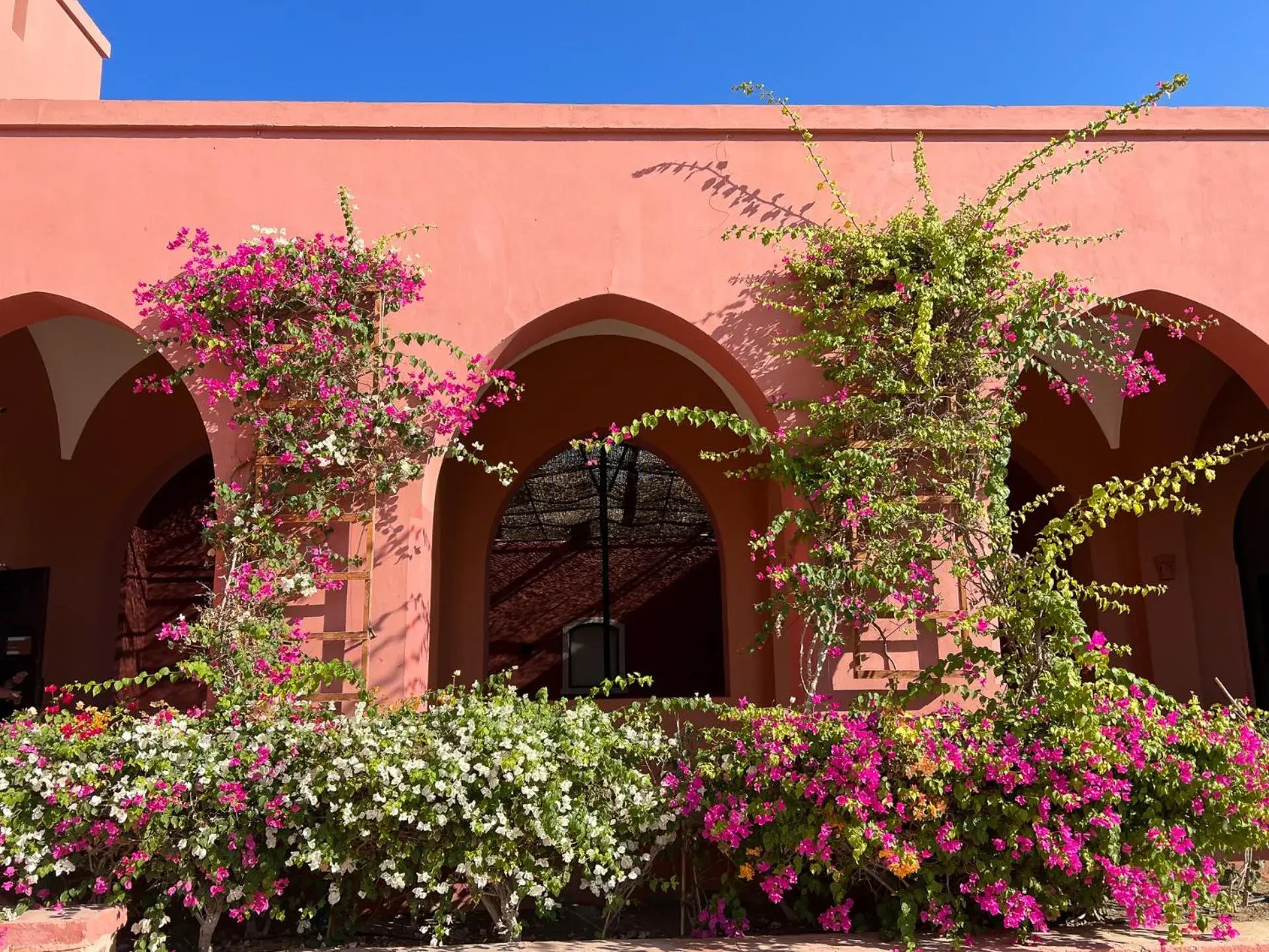 Garden, Property Building in Radisson Blu Resort El Quseir