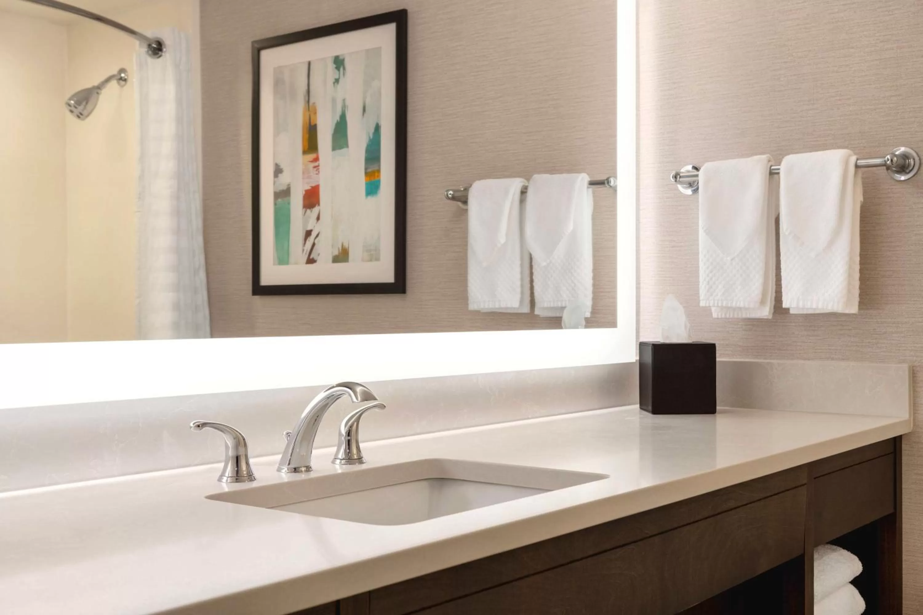 Bathroom in Embassy Suites by Hilton Baltimore at BWI Airport