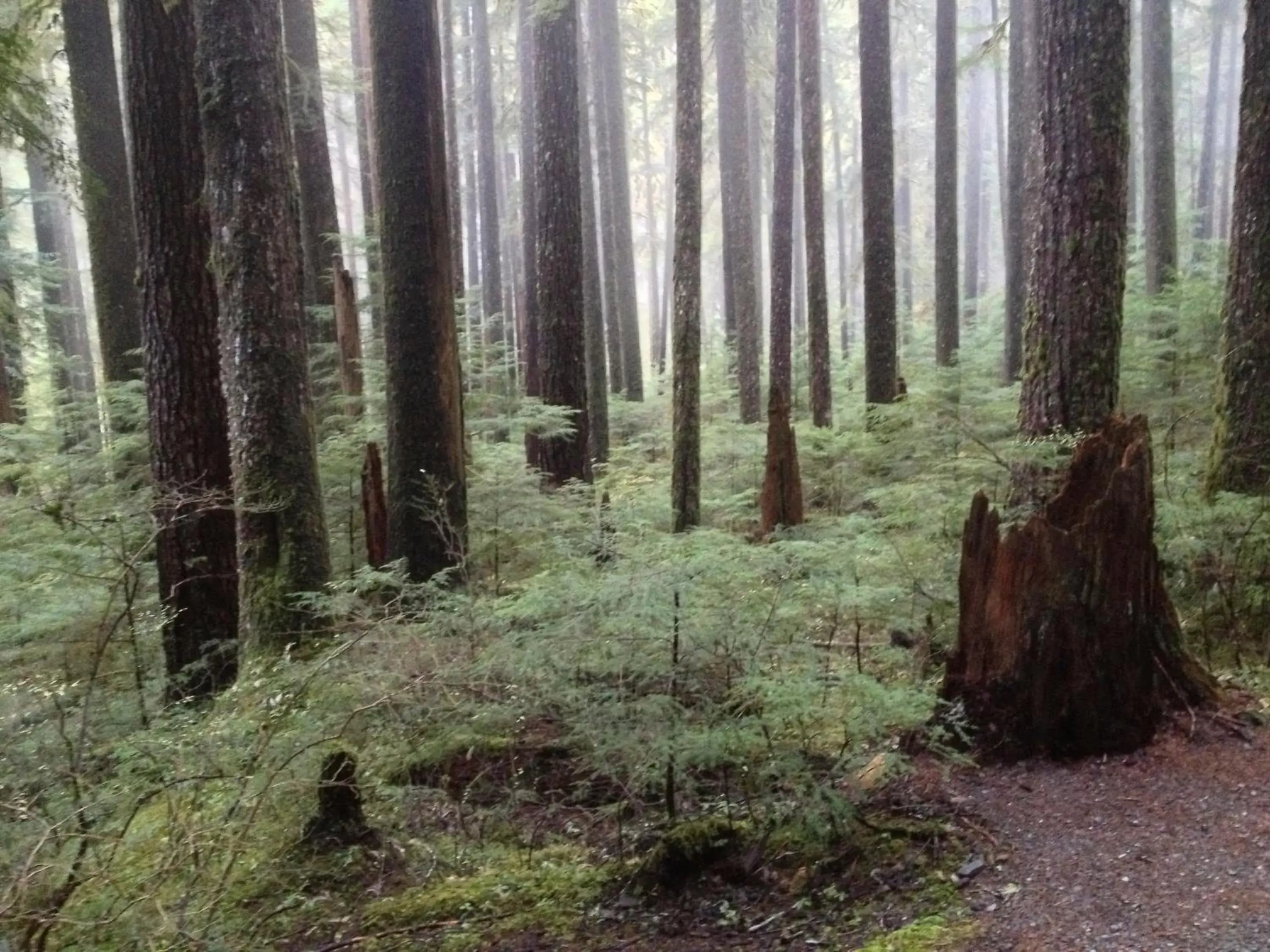 Area and facilities in Super 8 by Wyndham Port Angeles at Olympic National Park