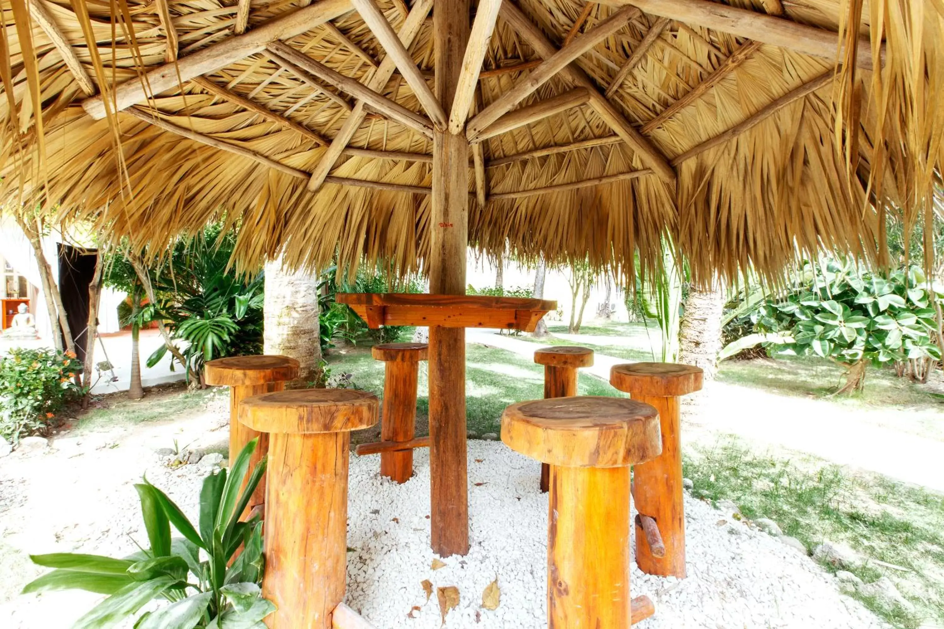 Garden view in AVENTURA VILLAGE LOS CORALES BEACH and SPA