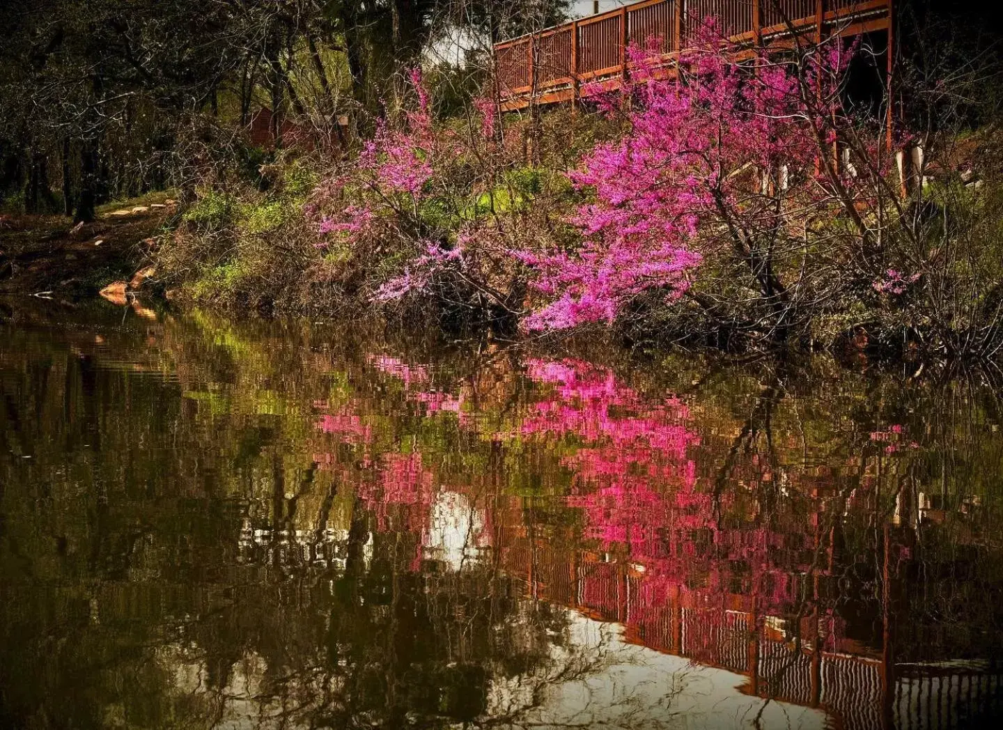 Garden in The Monastery at Forest Lake