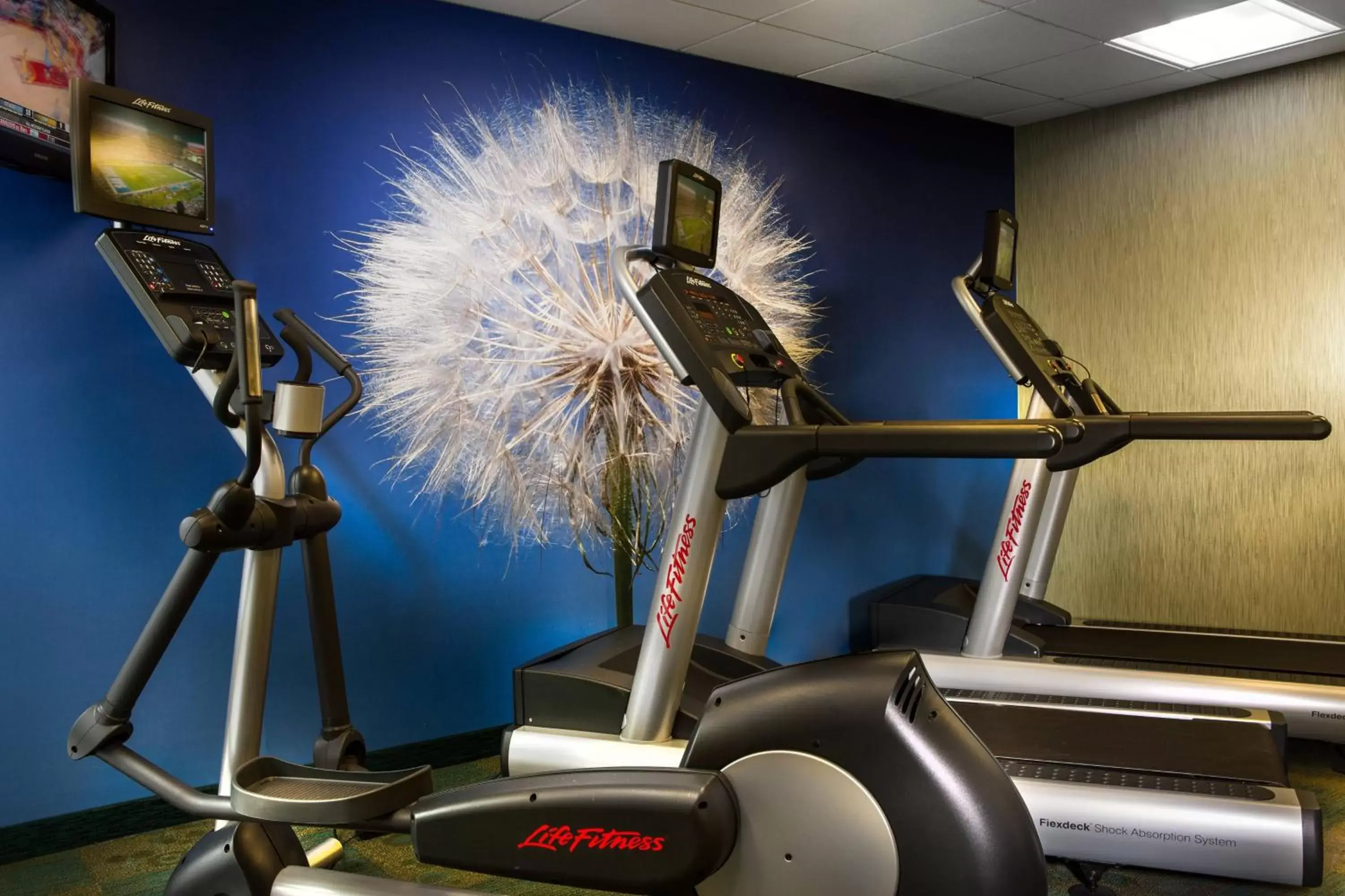 Fitness centre/facilities, Fitness Center/Facilities in SpringHill Suites Dallas DFW Airport North/Grapevine