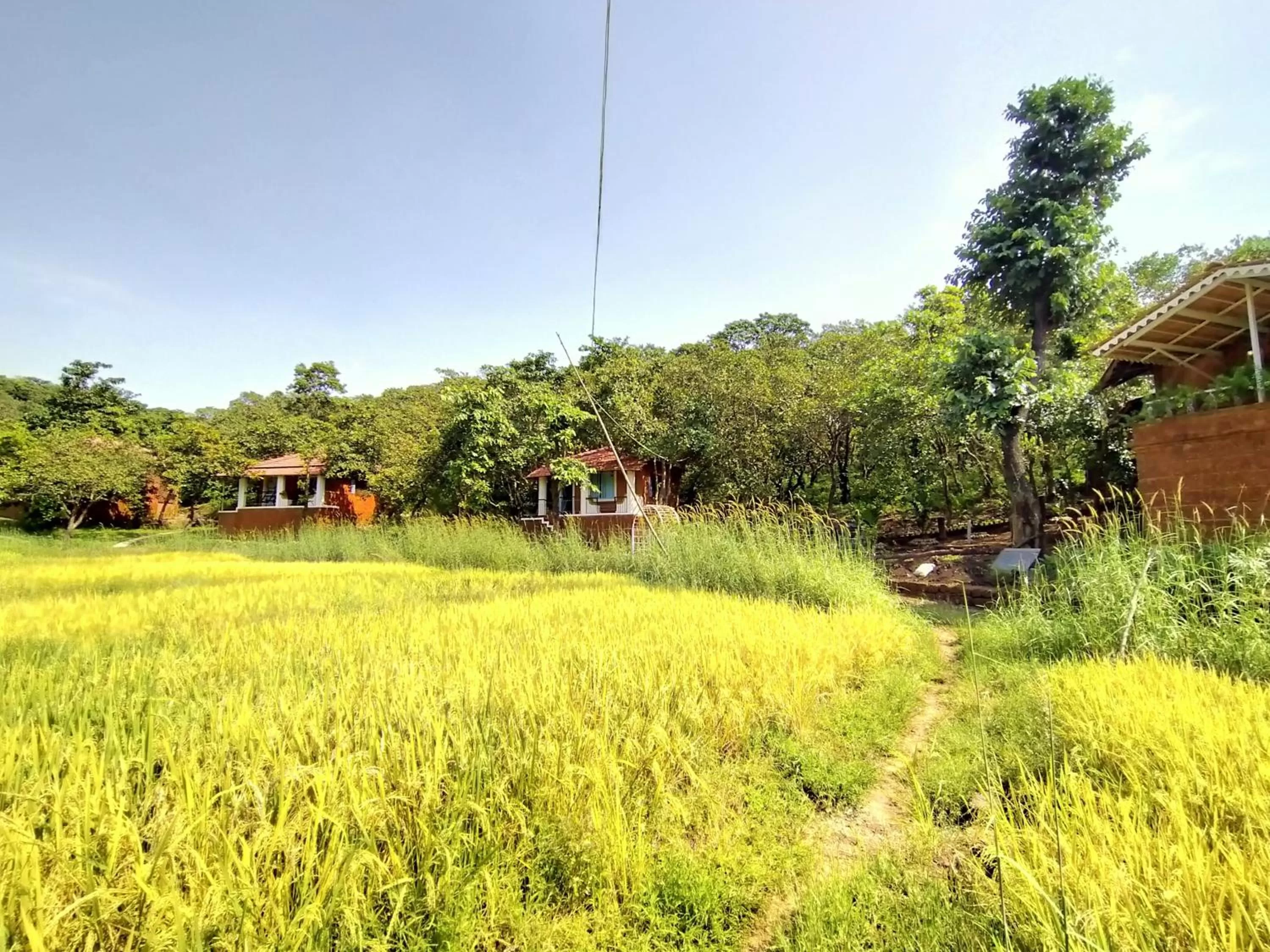 Natural landscape in Porsu