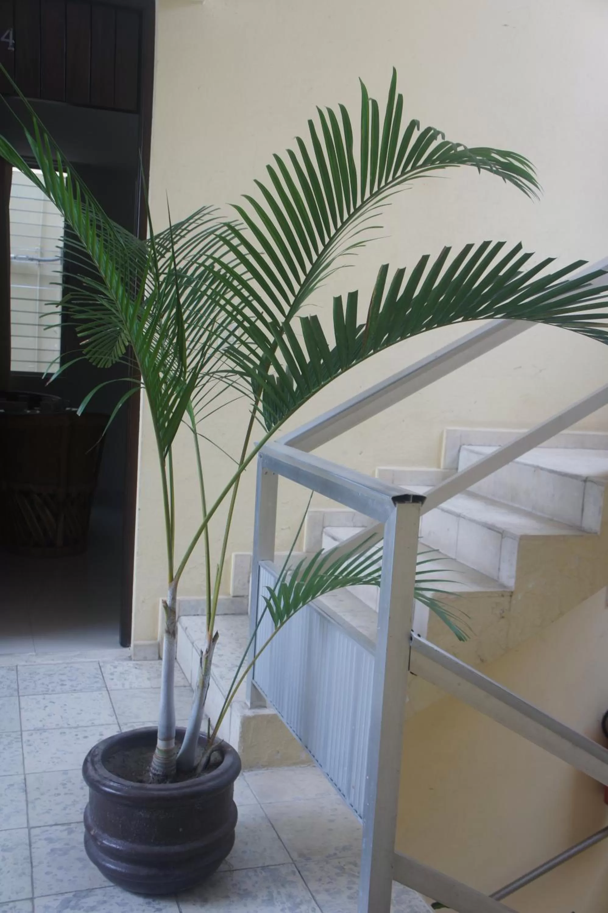 Business facilities in Suites San Luis