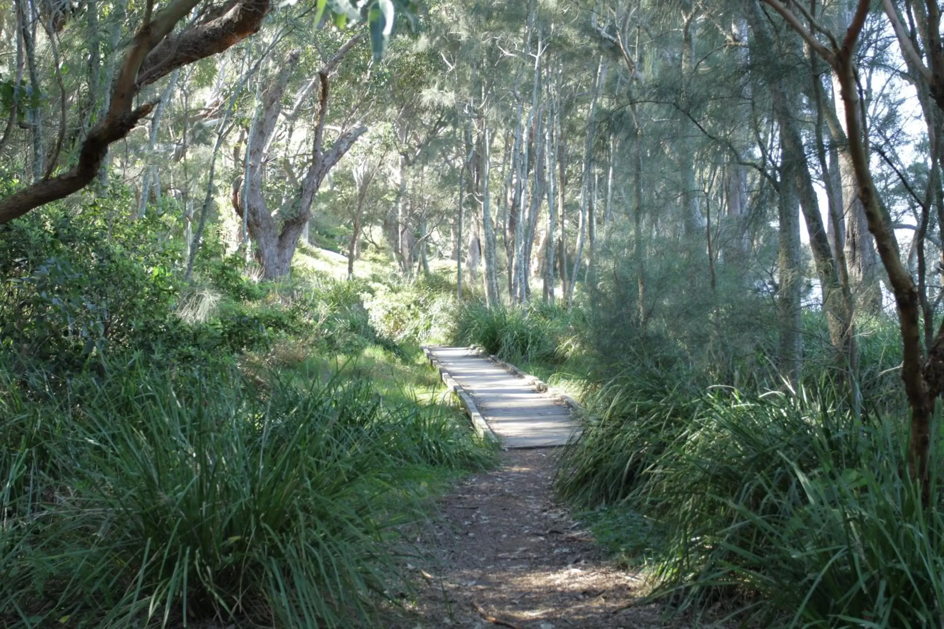 Natural landscape in The Edgewater Bed & Breakfast