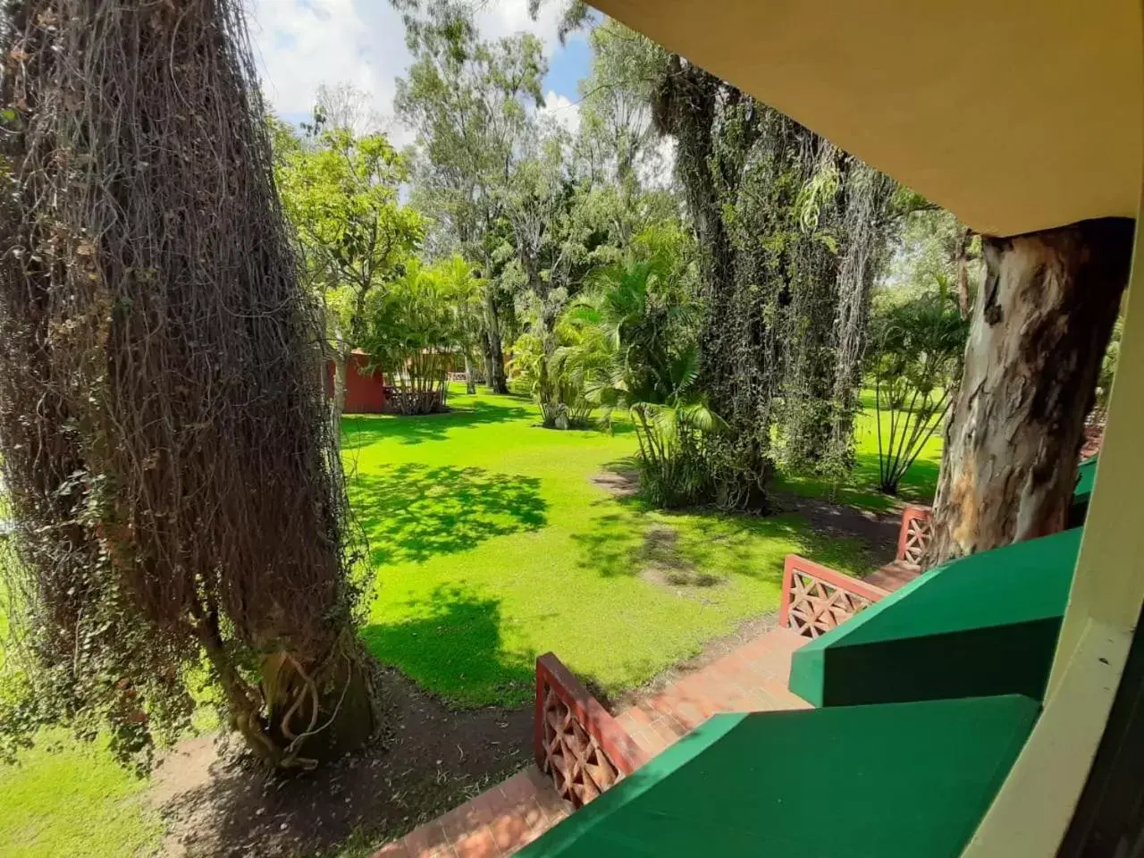 Garden view in Real de Chapala