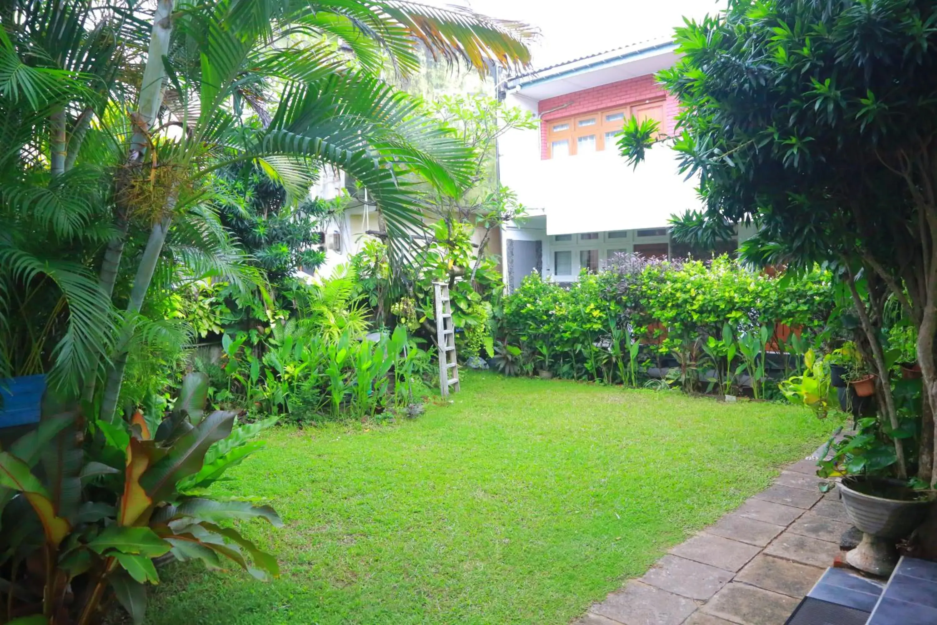 Garden in Ranveli Beach Resort