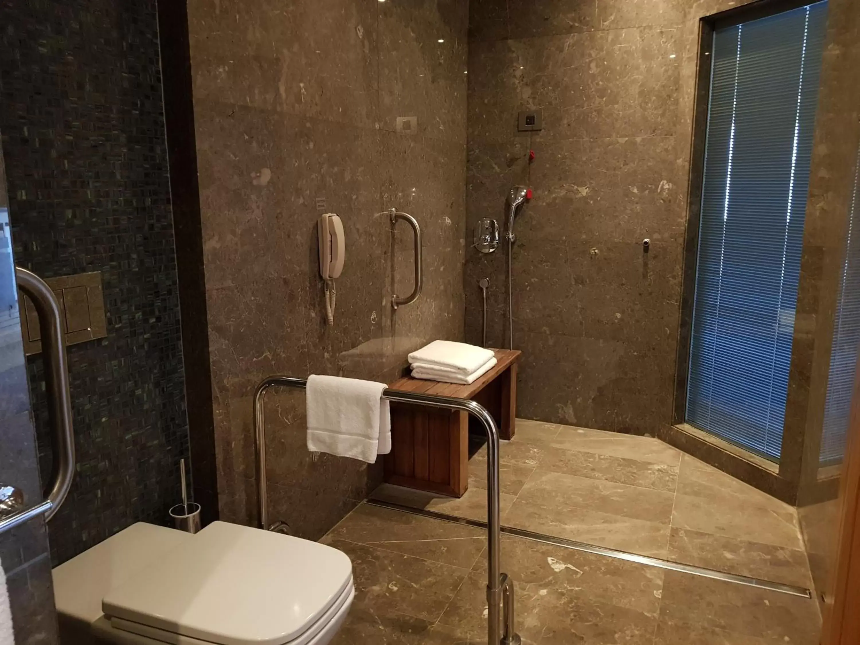 Shower, Bathroom in Radisson Blu Hotel & Spa, Istanbul Tuzla