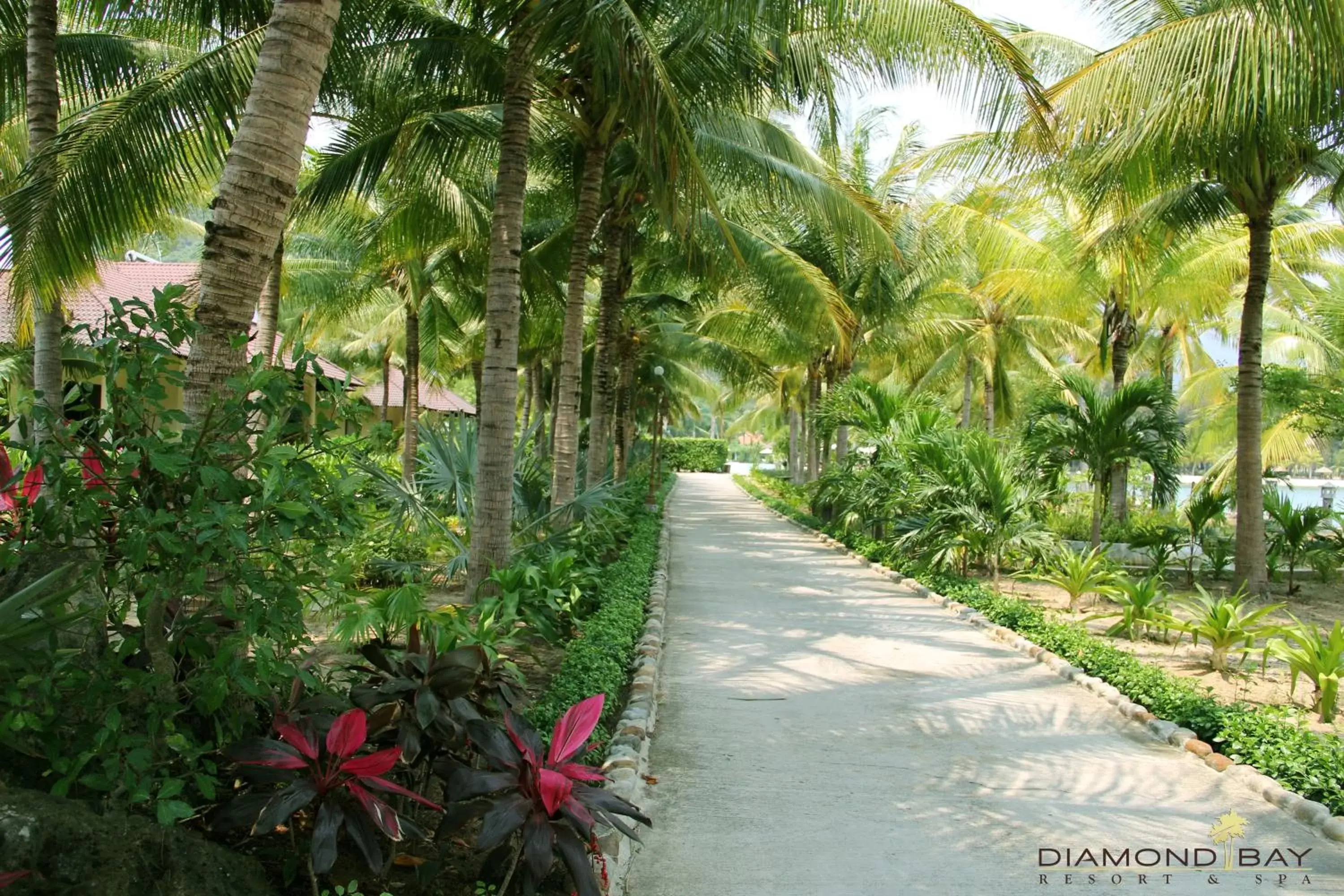 Garden in Diamond Bay Resort & Spa