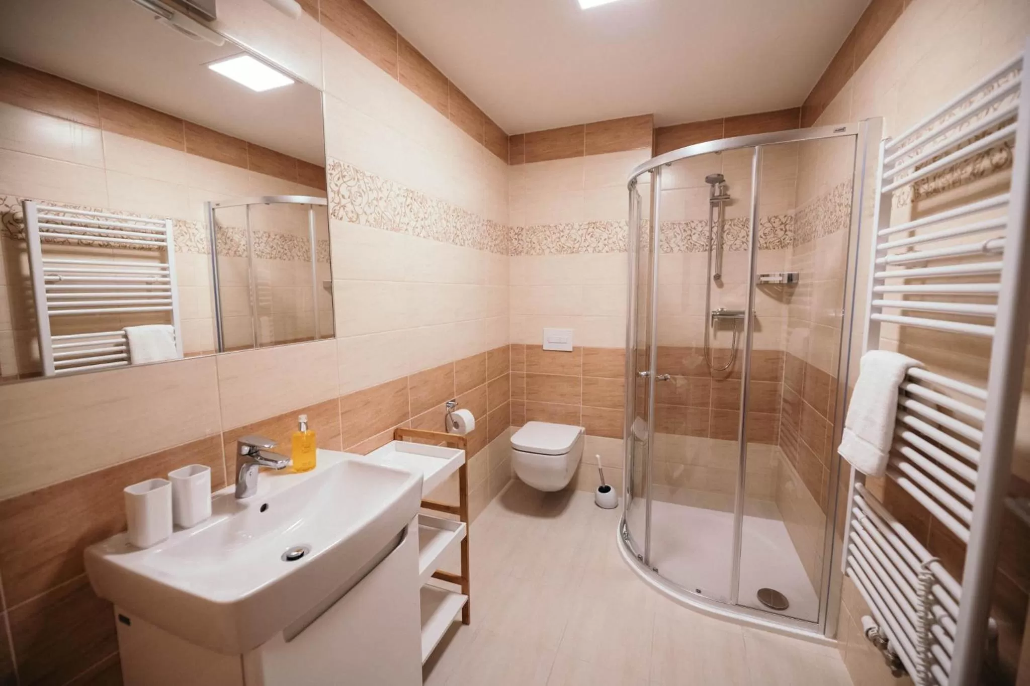 Toilet in Vila Jáchymov