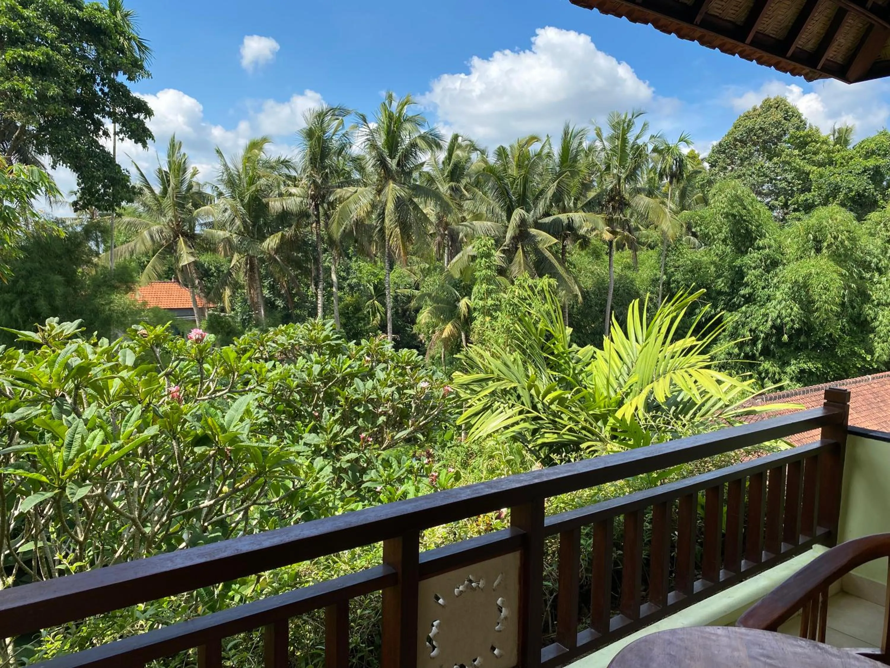 Day in Padma Ubud Retreat