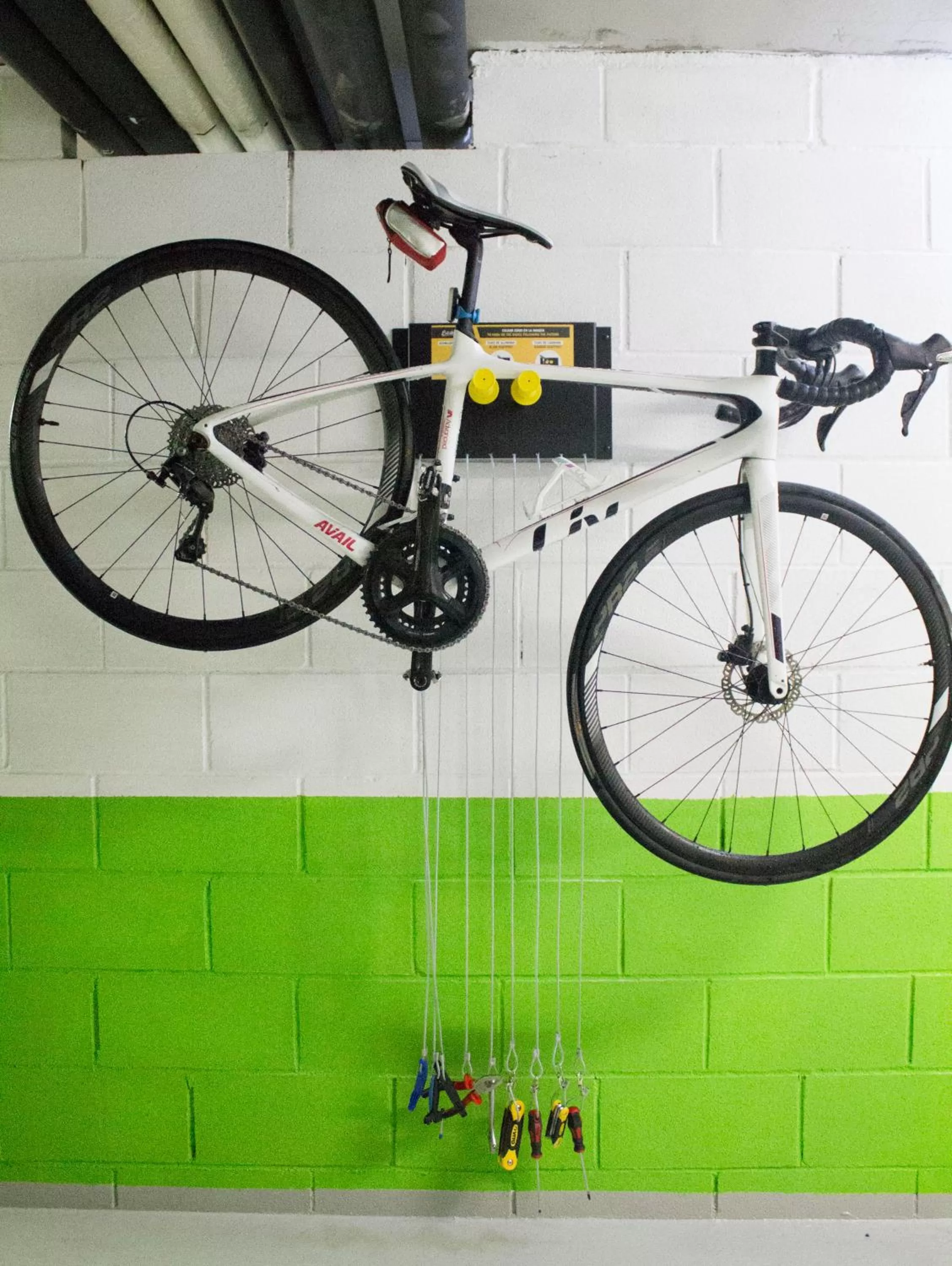 Activities in Yomo Mola Park