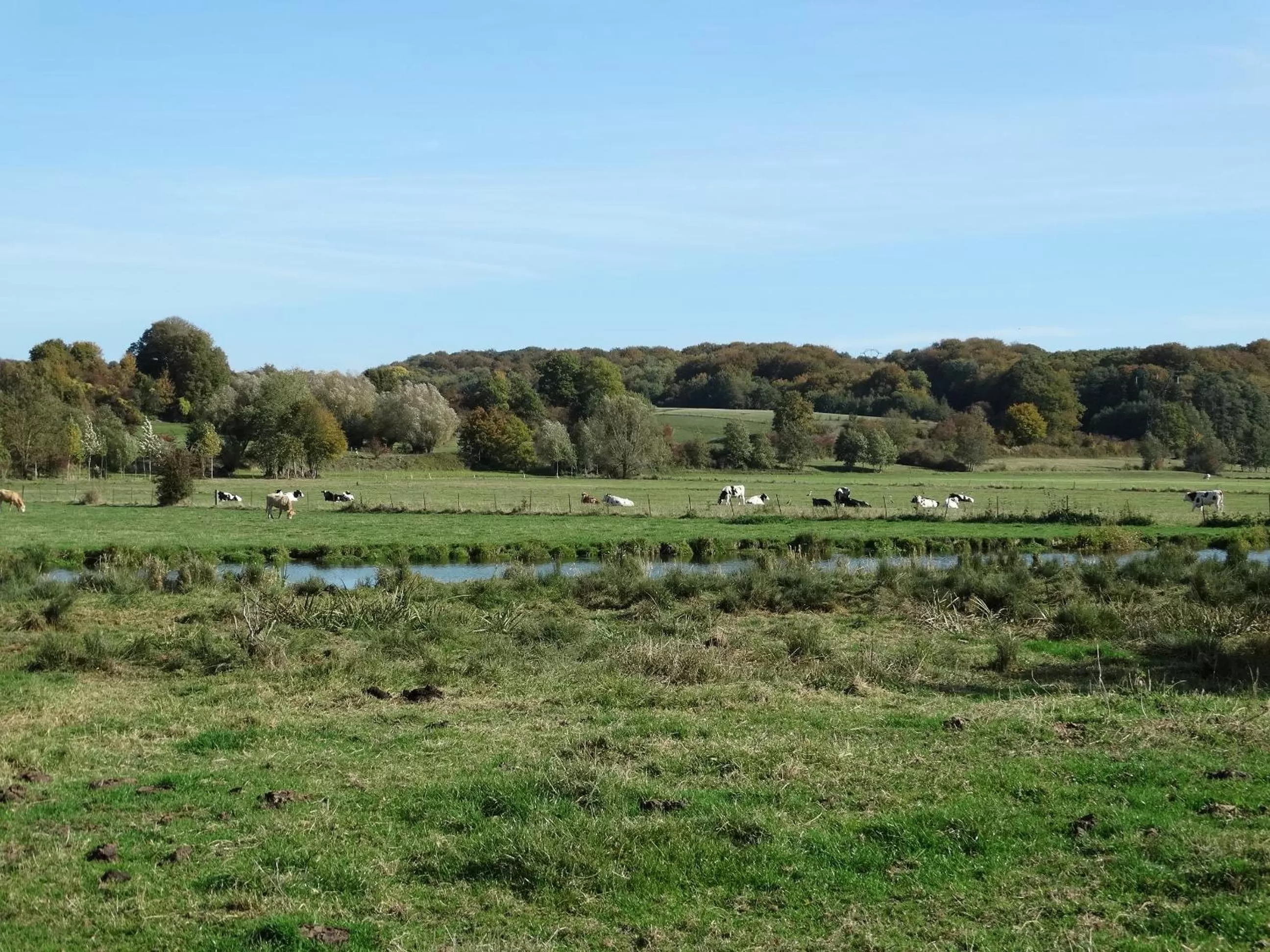 Natural landscape in La Vannerie