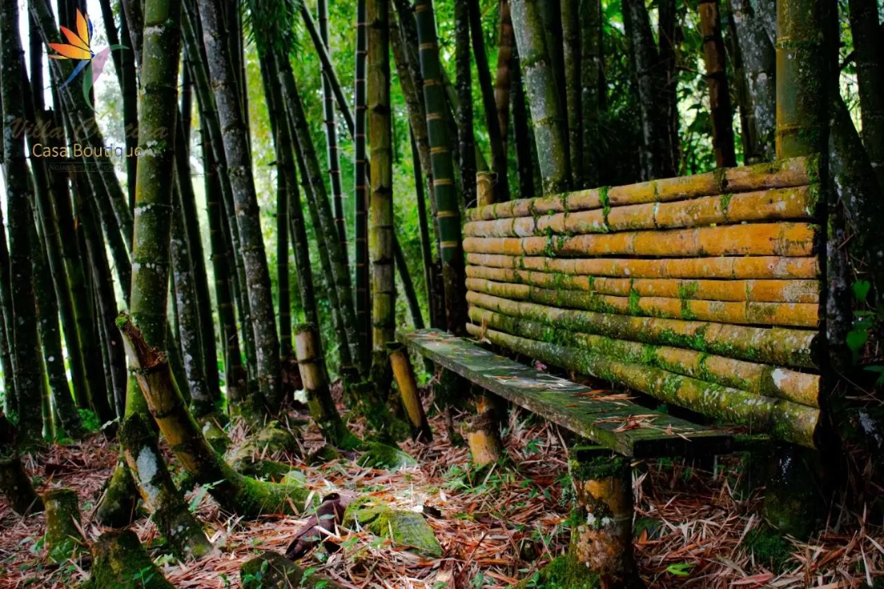 Natural landscape in Villa Cristina - Casa Boutique