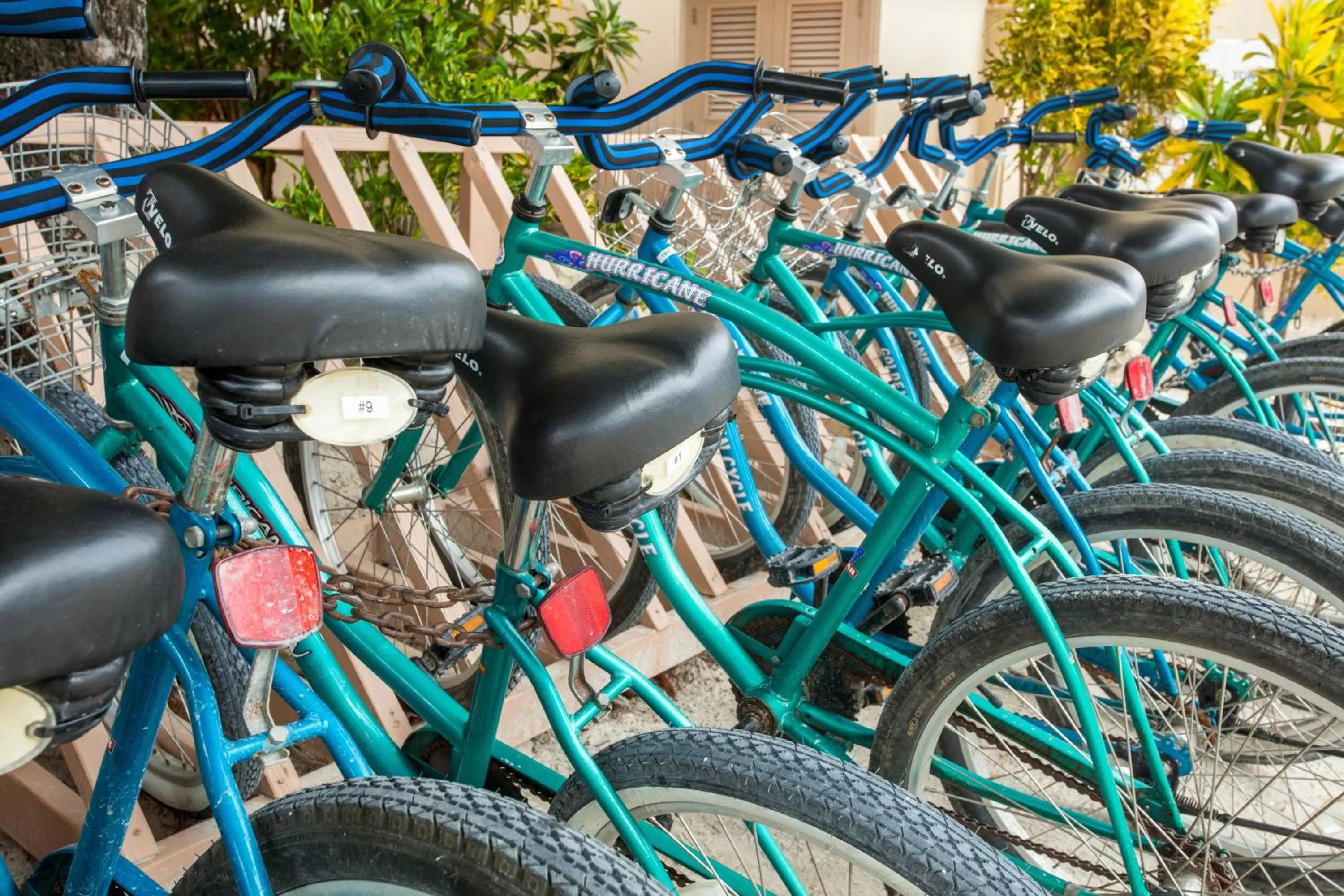 Other in Coco Beach Resort