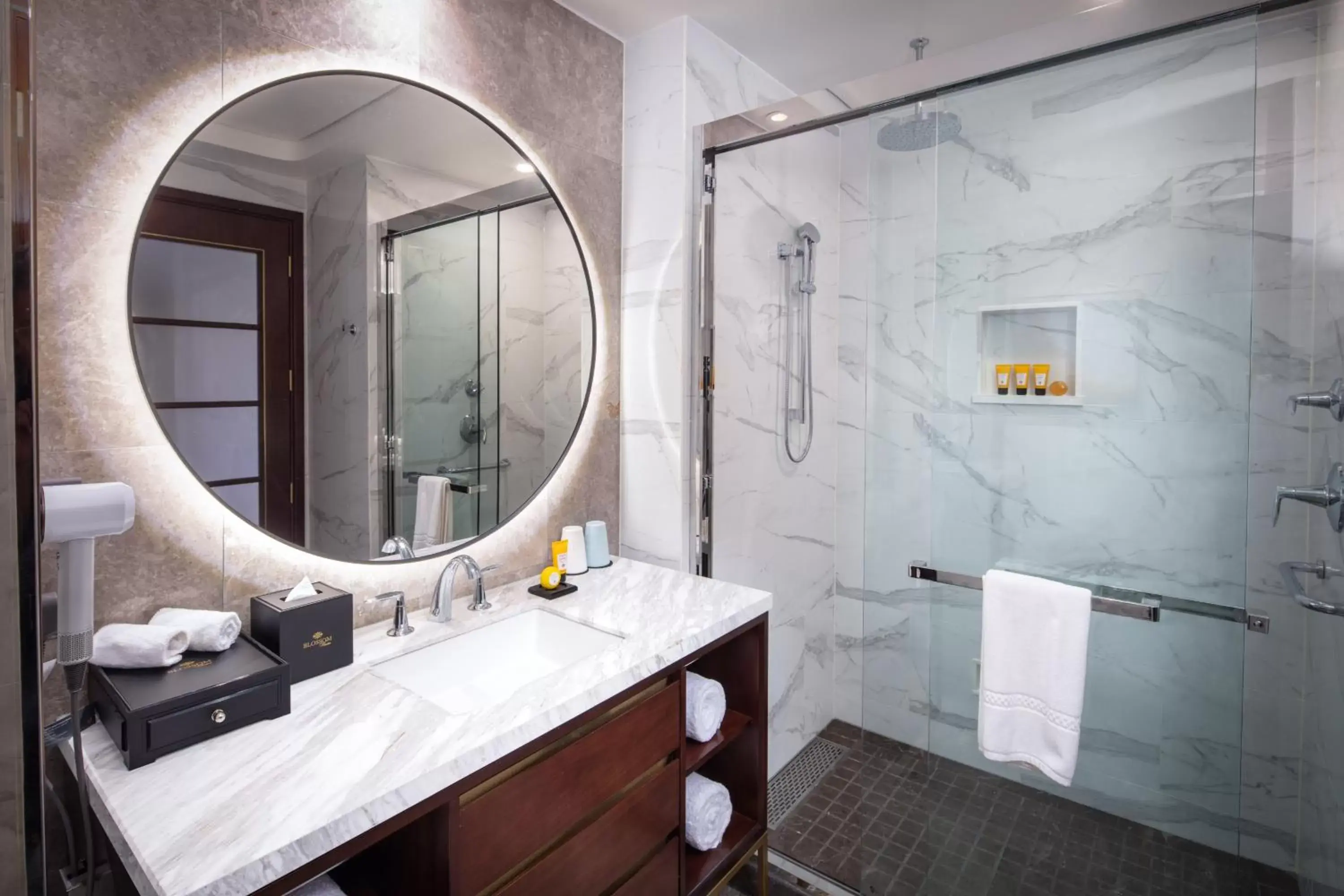 Bathroom in Blossom Hotel Houston