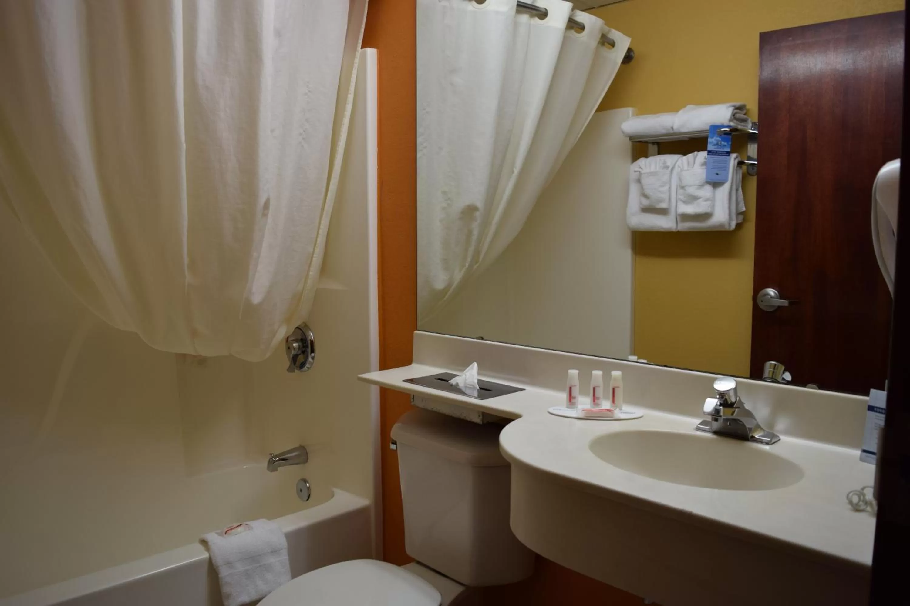 Shower in Microtel Inn & Suites by Wyndham Rock Hill/Charlotte Area