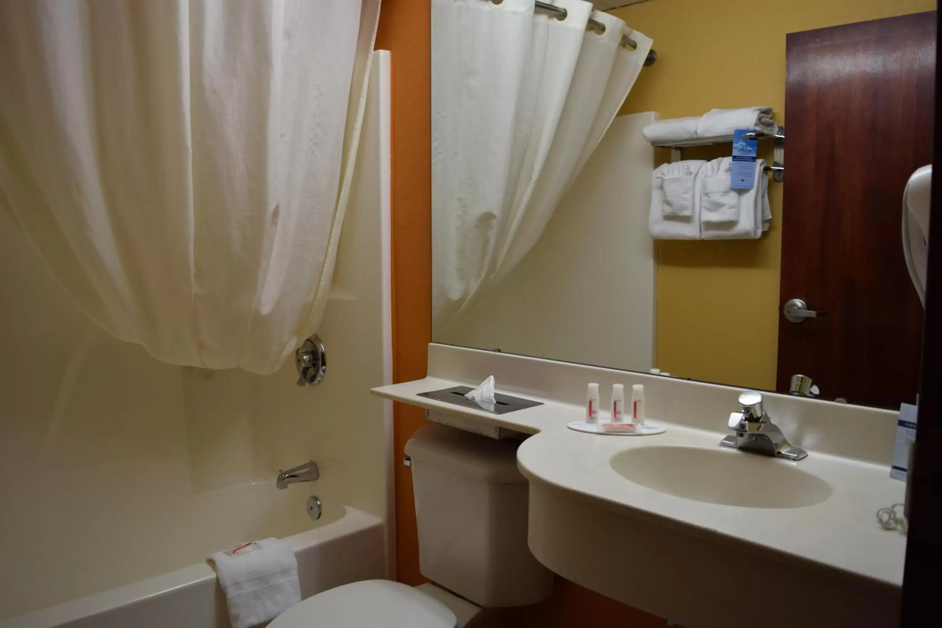 Shower, Bathroom in Microtel Inn & Suites by Wyndham Rock Hill/Charlotte Area