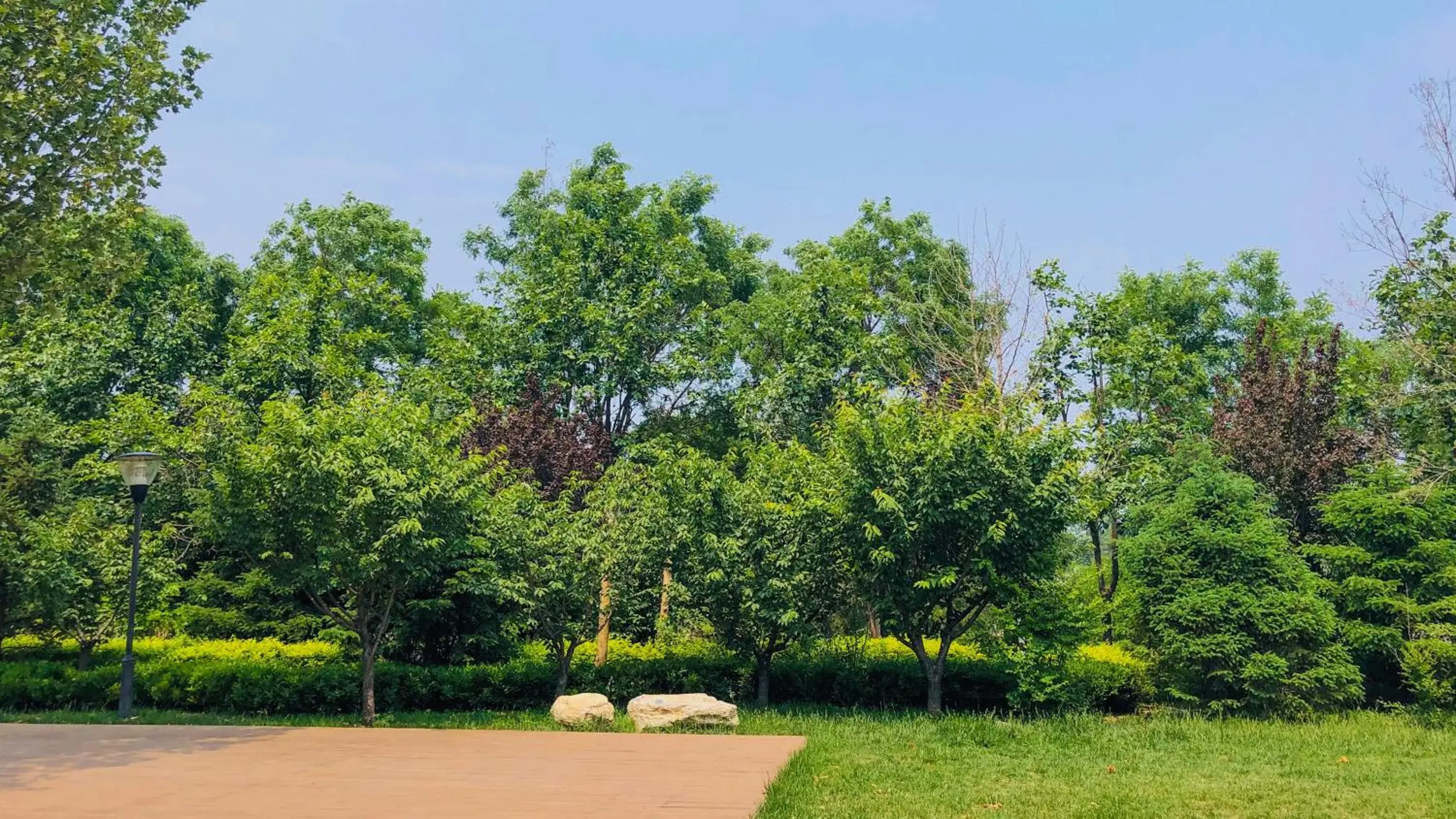 Other, Garden in Holiday Inn Beijing Shijingshan Parkview, an IHG Hotel