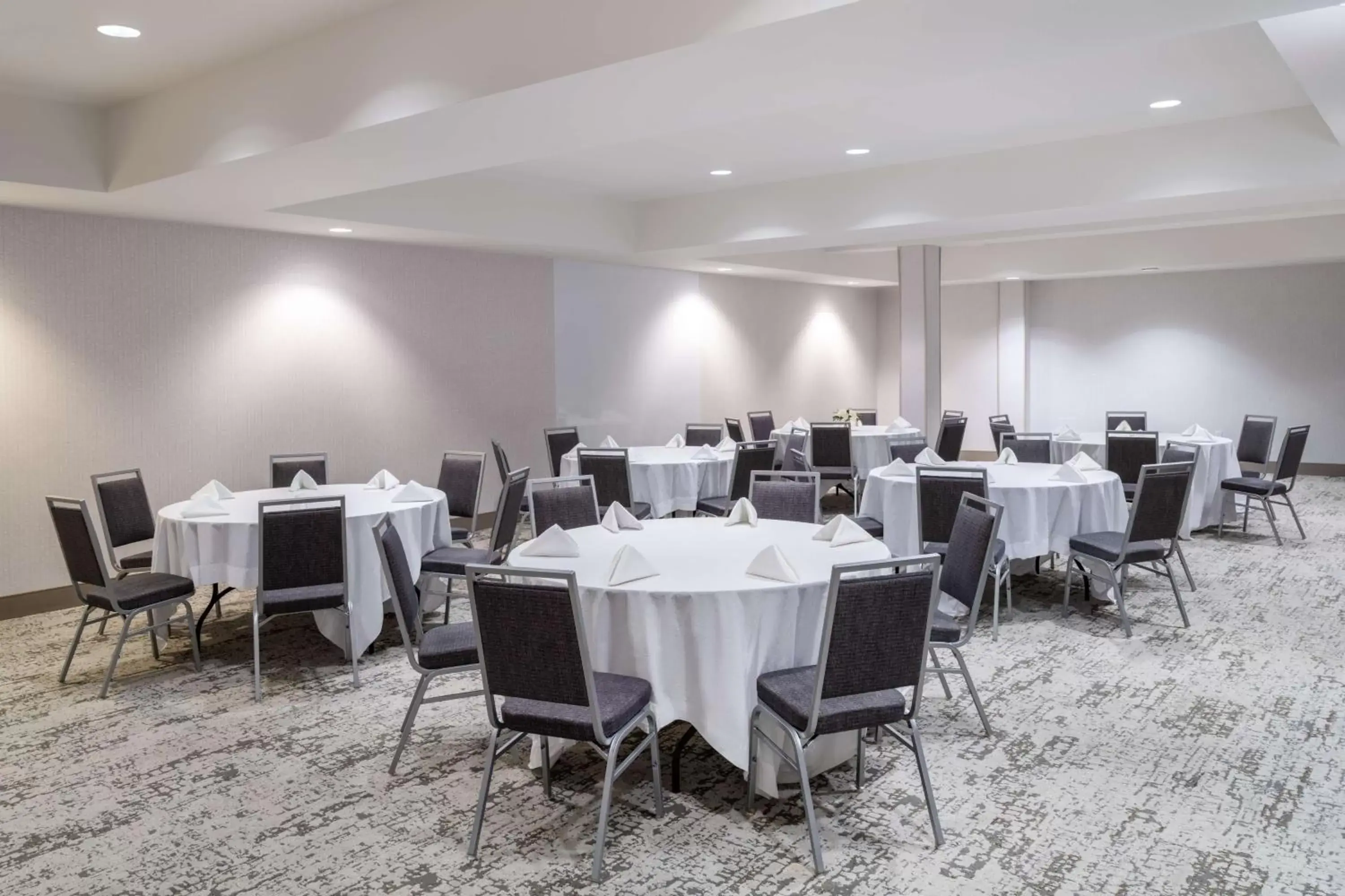 Meeting/conference room, Restaurant/Places to Eat in Hampton Inn & Suites Salida, CO